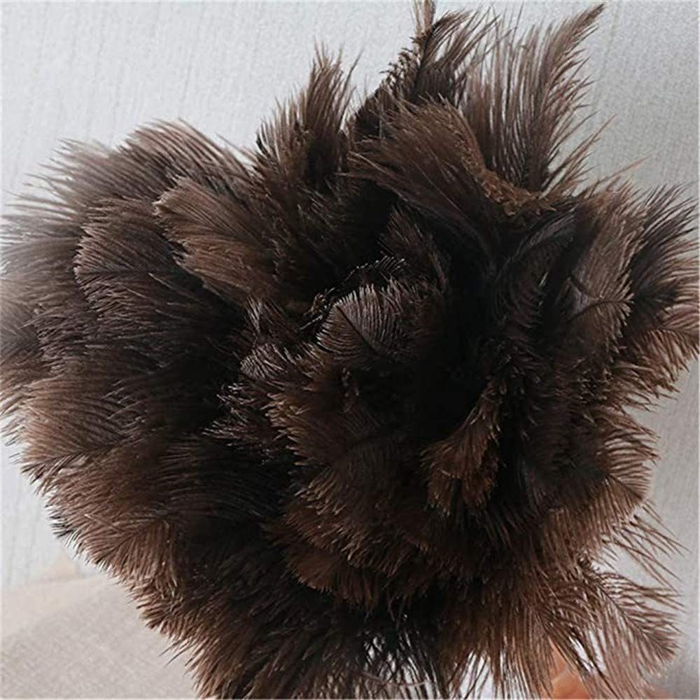 Ostrich Duster,Ostrich Reinigungsbürste Feather Jormftte Federn