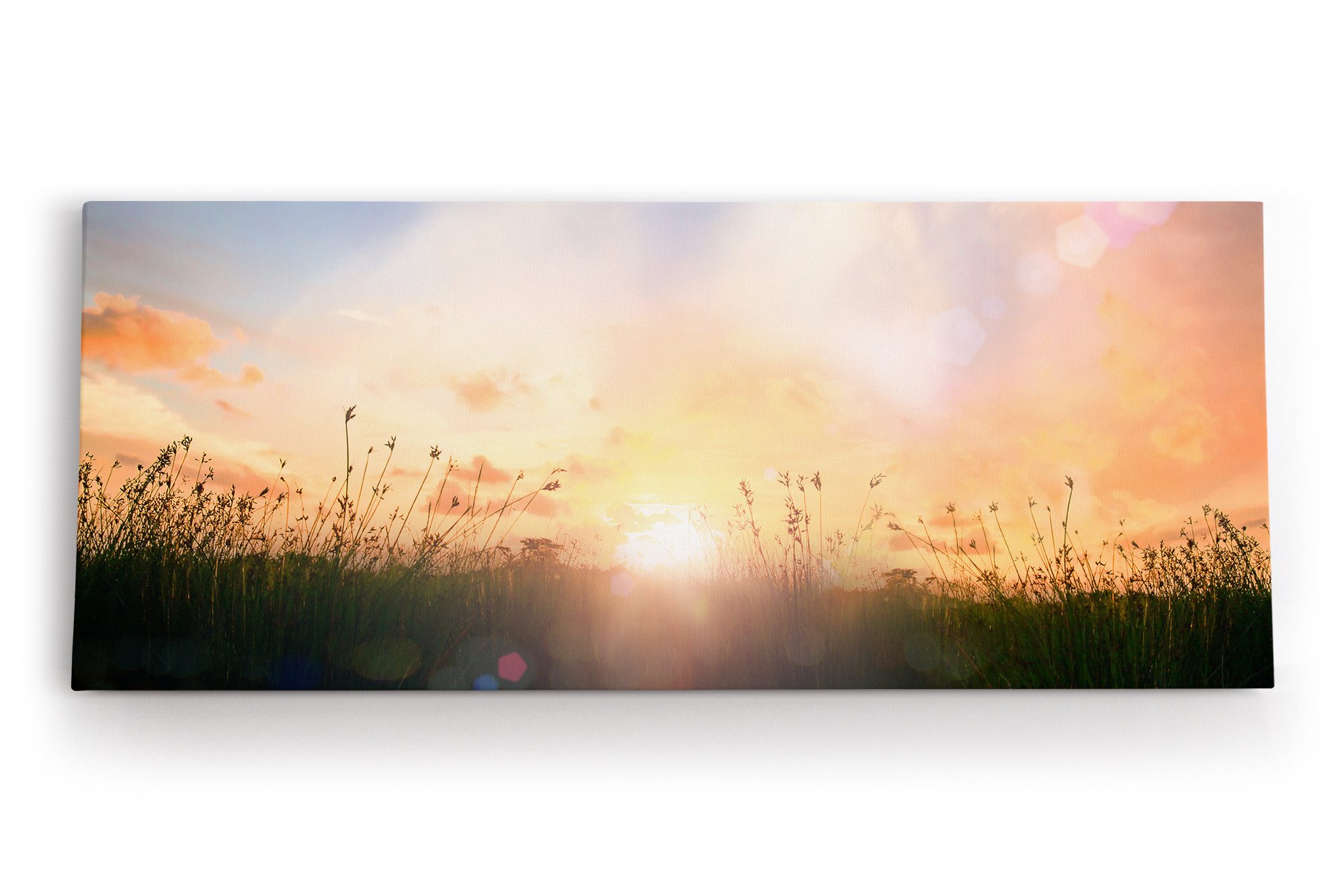Leinwandbild Sommerwiese Sonnenuntergang Vögel Halme Natur