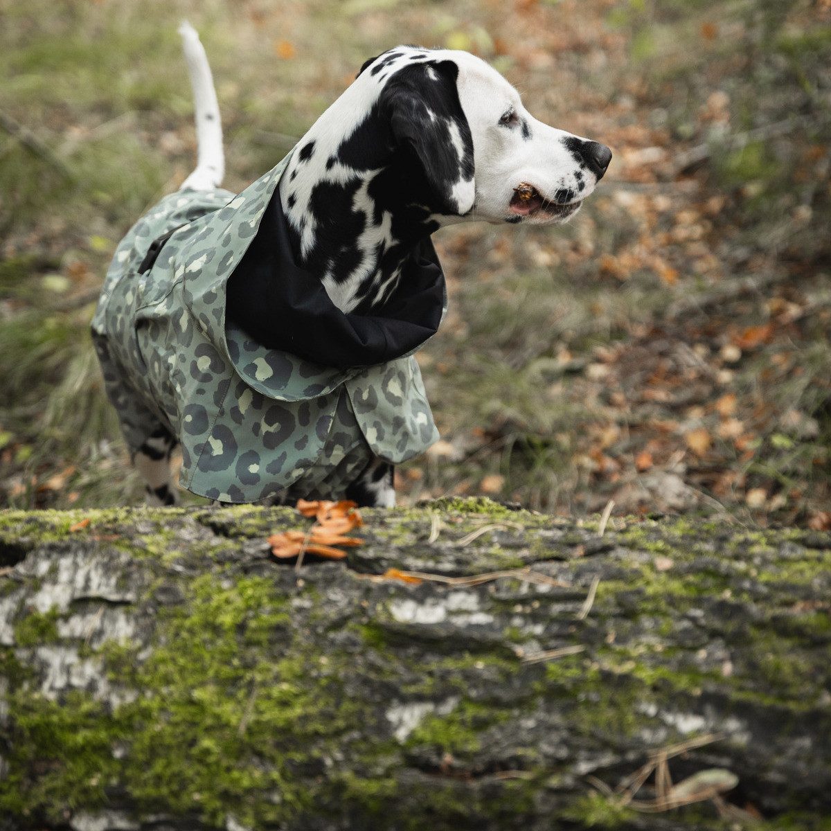 PAIKKA Hunderegenmantel Hunde Regenmantel reflektierend "Visibility Raincoat" green leo