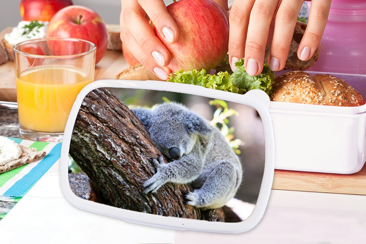 für - Kofferraum Kunststoff, Lunchbox MuchoWow (2-tlg), Brotdose, Kinder Mädchen, - - Brotbox und Mädchen und - weiß für Kuscheltier Jungs Erwachsene, Jungen Koala