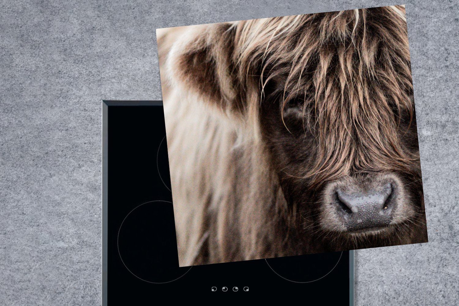 küche tlg), (1 Kuh, Ceranfeldabdeckung, - Vinyl, Schottische MuchoWow Herdblende-/Abdeckplatte für Highlander Schottischer Arbeitsplatte 78x78 cm,