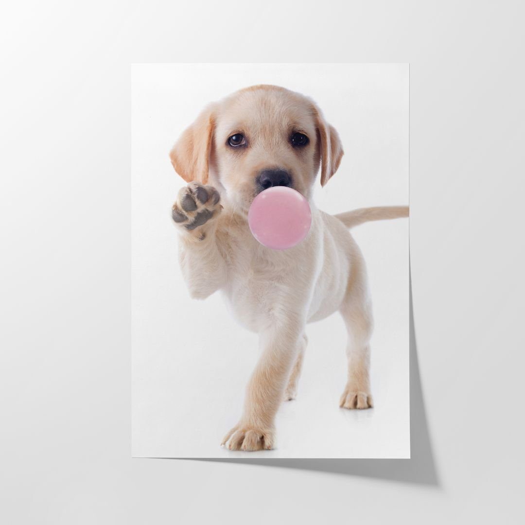 Hustling Sharks Poster Hunde-Bild als XXL Poster "Puppy Gum" - exklusive Tierbilder, in 7 unterschiedlichen Größen verfügbar