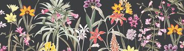 anna wand Bordüre Botanical Garden / Blumen - schwarz/mehrfarbig - selbstklebend, floral, selbstklebend