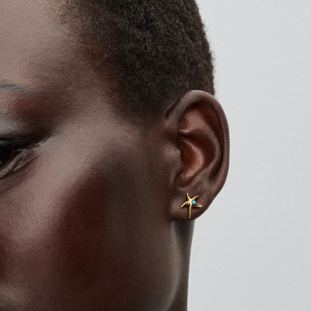 Pandora Paar Ohrstecker 263820C01, Seesterne günstig online kaufen