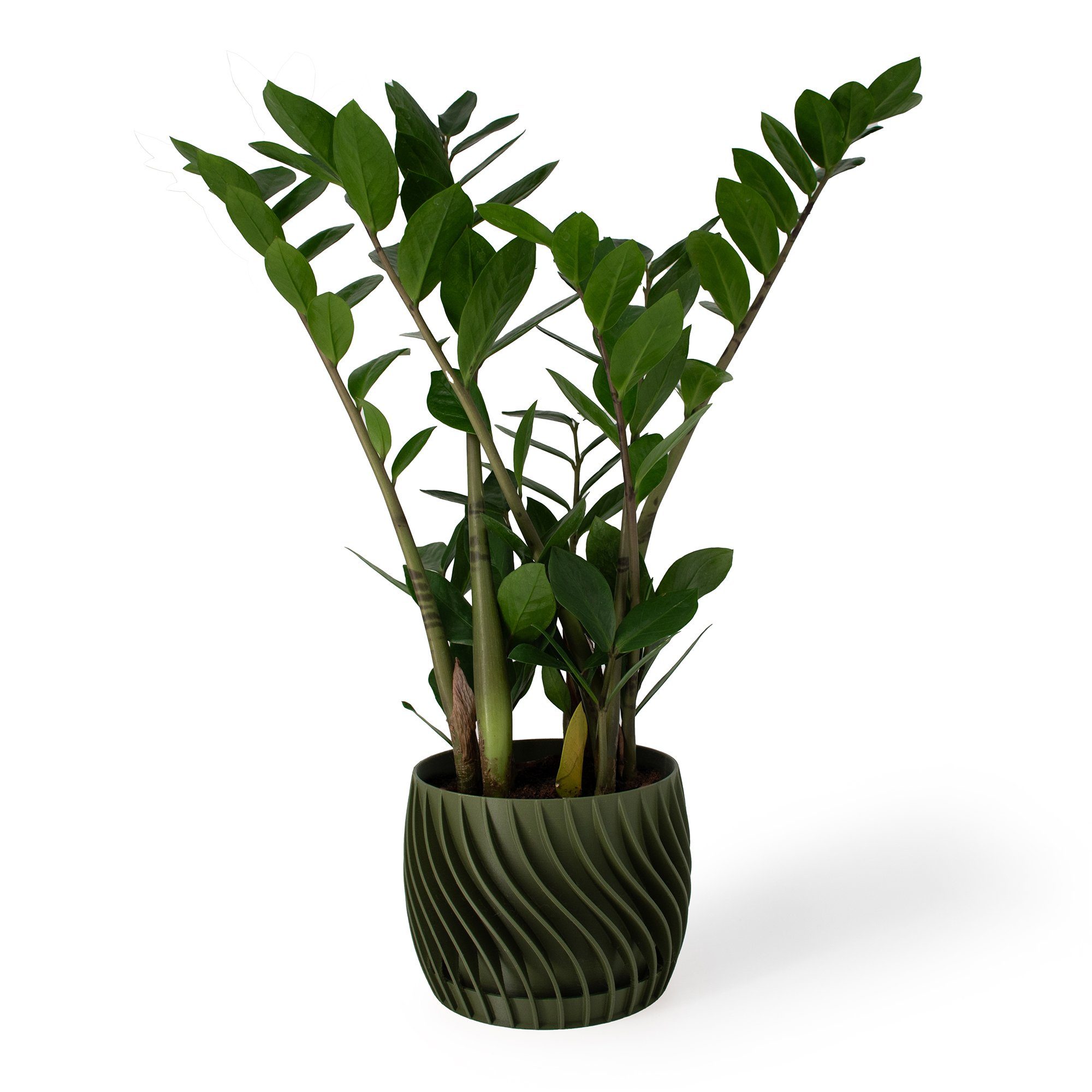 Shapes - Decorations Blumentopf The Plant Pot - Blumentopf mit integriertem günstig online kaufen