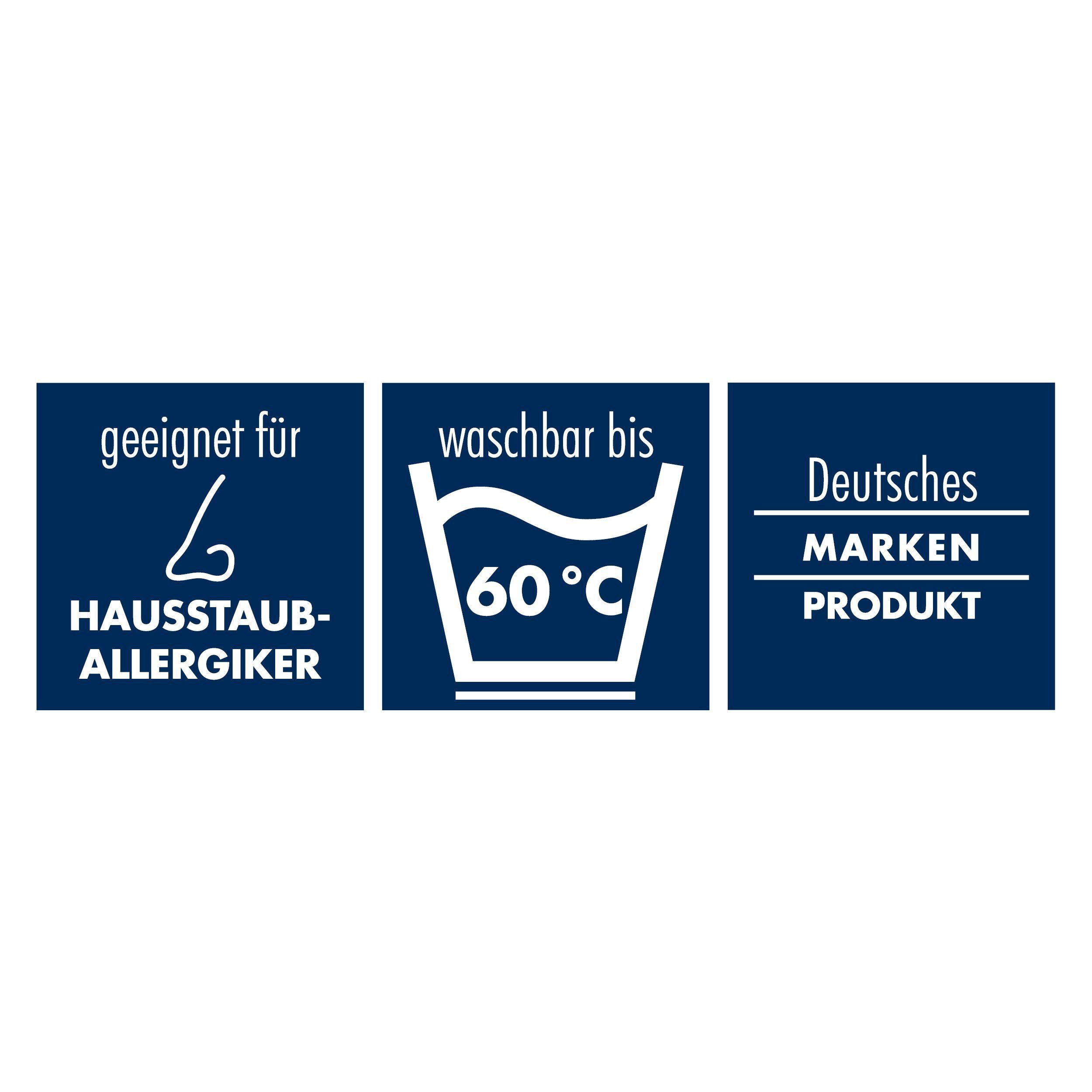 Irisette Daunenbettdecke Daunendecke Luna, Füllung: 100% Gänsedaunen, Bezug: mit peach-skin Ausrüstung, extraleichtes Sommersteppbett, Downpass und Nomite, Naturprodukt