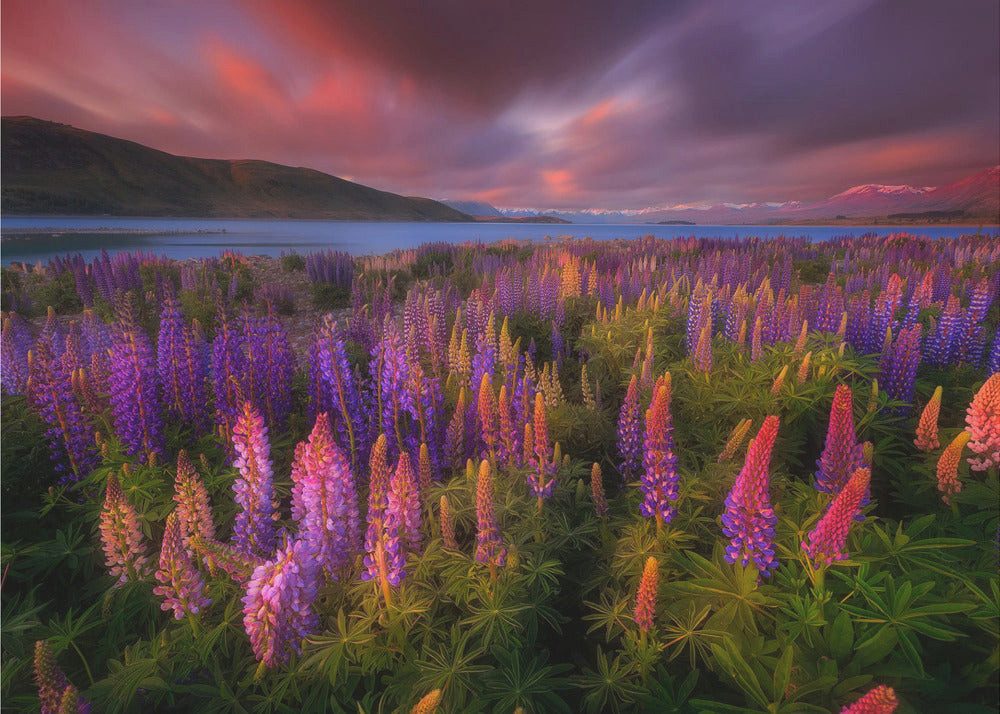 Papermoon Poster "Springtime Rush" von Patrick Marson Ong, 250 g/m² Galeriedruck, Mit oder ohne Rahmen, brillante UV-beständige Farben, Made in Germany