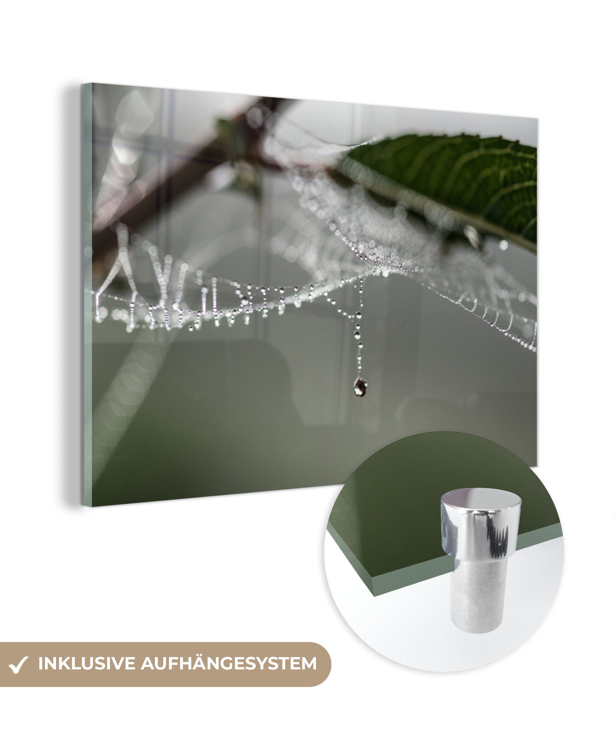 & MuchoWow Acrylglasbild Wohnzimmer Schlafzimmer - Herbst Spinnennetz Tropfen, - St), Acrylglasbilder (1
