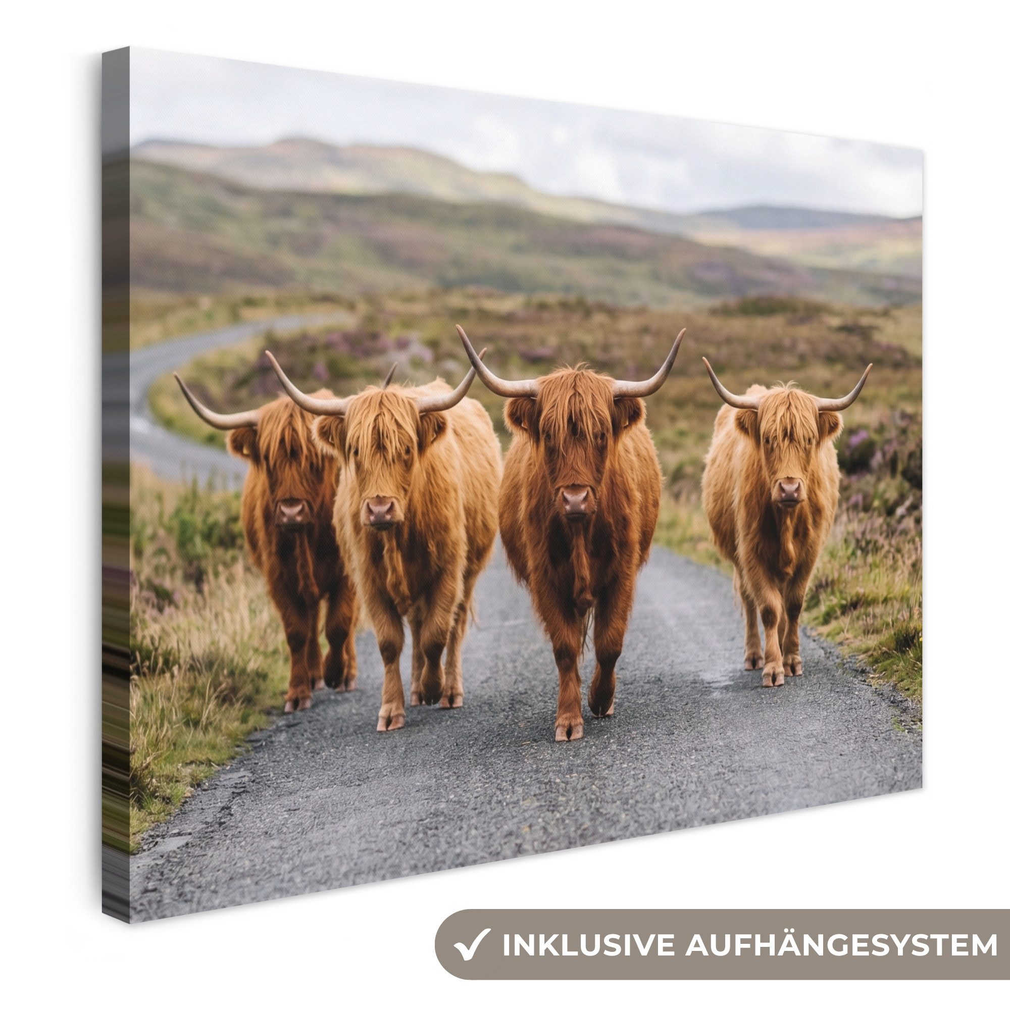 OneMillionCanvasses® Leinwandbild Schottische Highlander - Straße - Landschaft - Herde, Fotodruck (1 St), Wandbild Leinwandbilder, Aufhängefertig, Wanddeko 40x30 cm