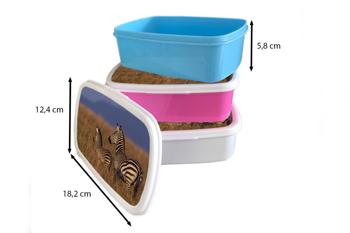Brotbox Erwachsene, und und Mutter für Mädchen Kunststoff, Lunchbox (2-tlg), für Jungs weiß und MuchoWow Brotdose, Babyzebra, Kinder