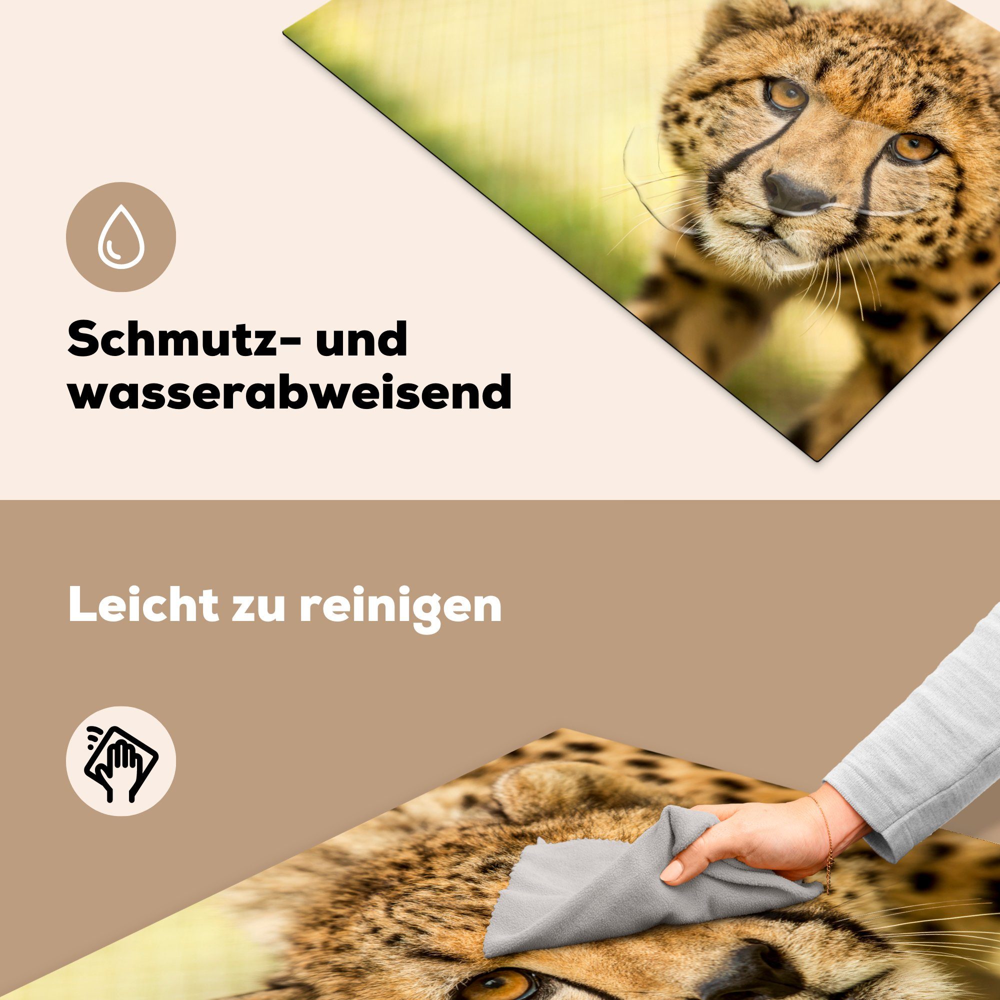 Vinyl, tlg), Schutz - cm, küche, Herdblende-/Abdeckplatte Induktionskochfeld 81x52 Gepard Leopard Ceranfeldabdeckung (1 für Tier, MuchoWow die -