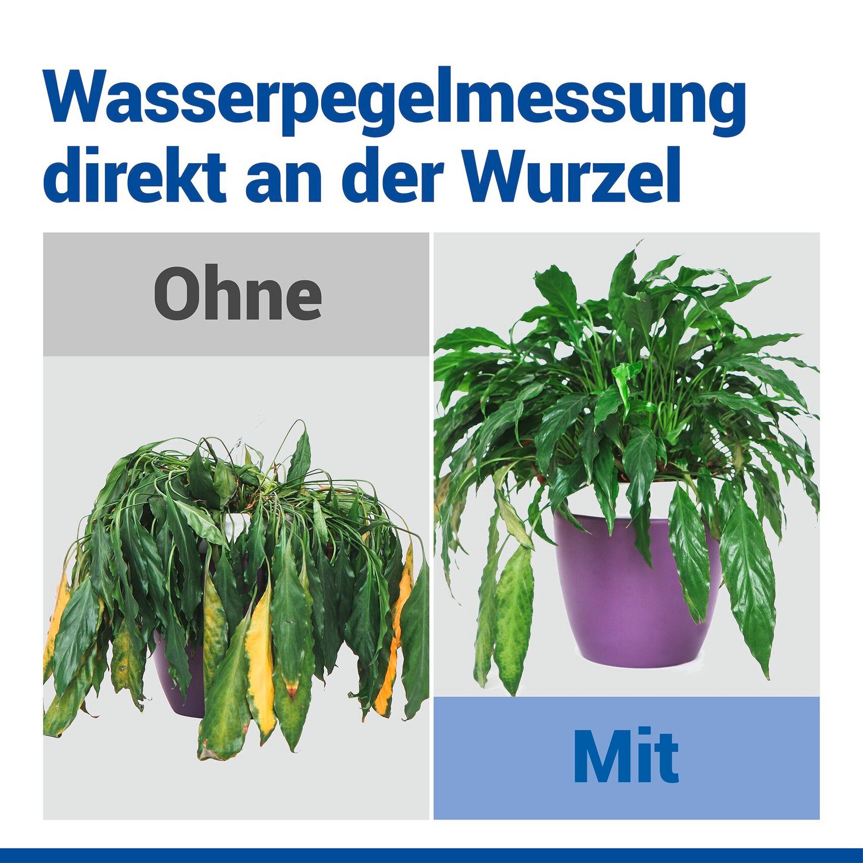 Maximex Pflanzenlampe Modell Pflanzen-Alarm, Ein-/Ausschalter, LED fest integriert, Farbwechsler, LED Boden-Feuchtigkeitsmesser für Pflanzen mit Ampelsystem