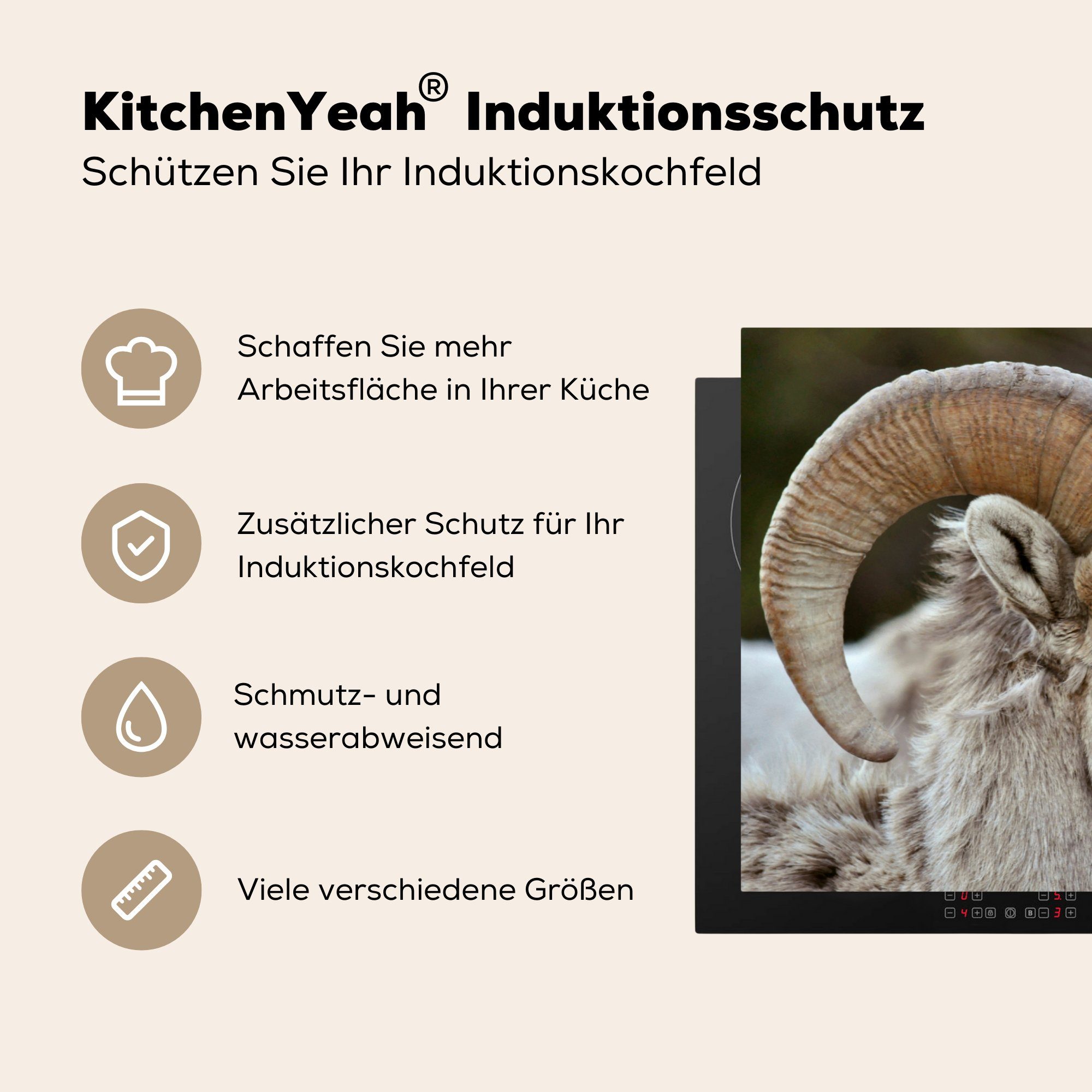 MuchoWow Herdblende-/Abdeckplatte Widder (1 Schaf, küche, - Induktionskochfeld für die 81x52 cm, tlg), Ceranfeldabdeckung Horn - Vinyl, Schutz