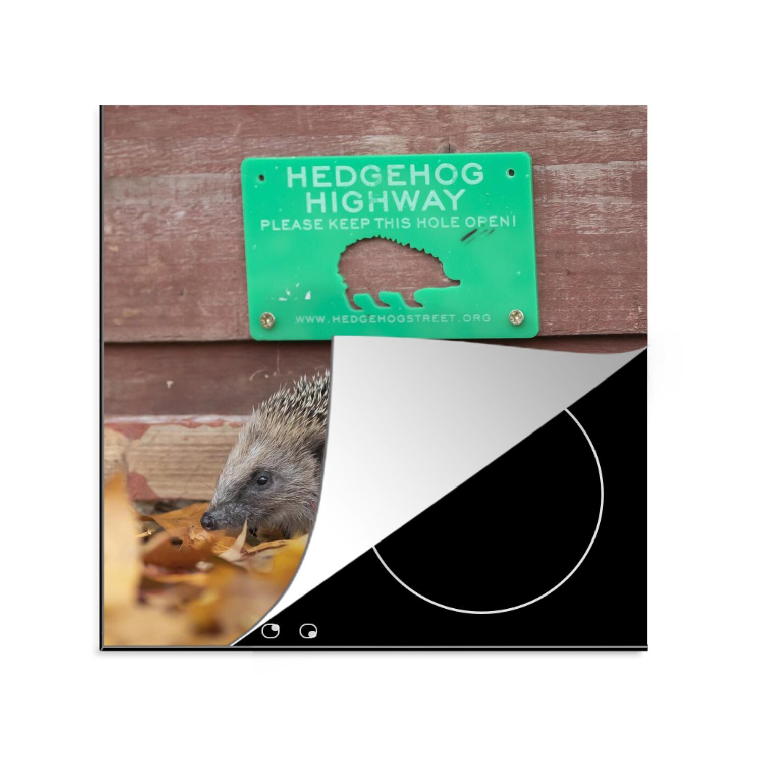 MuchoWow Herdblende-/Abdeckplatte Igel - Autobahn - Grün, Vinyl, (1 tlg), 78x78 cm, Ceranfeldabdeckung, Arbeitsplatte für küche