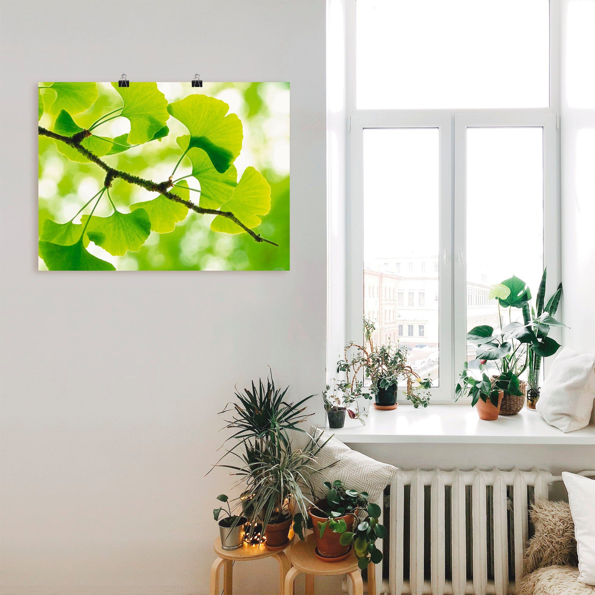Artland Wandbild Ginkgo, Blätter (1 St), als Leinwandbild, Poster in verschied. Größen