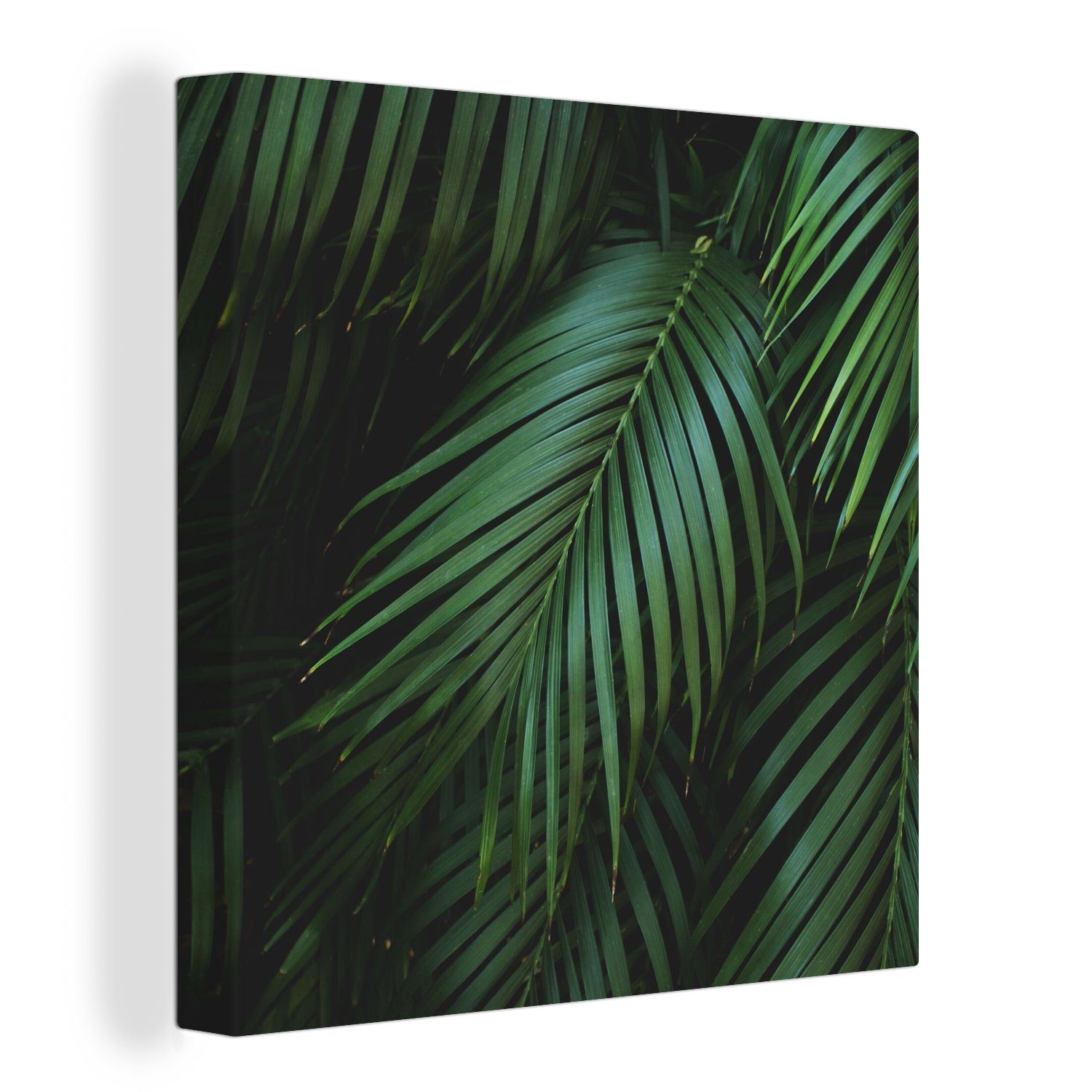 OneMillionCanvasses® Leinwandbild Palmenblätter - Palmen - günstig online kaufen
