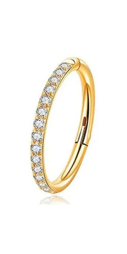 Karisma Schmuck Nasenpiercing Titan Hinged Nasenring Segmentring Charnier/C günstig online kaufen