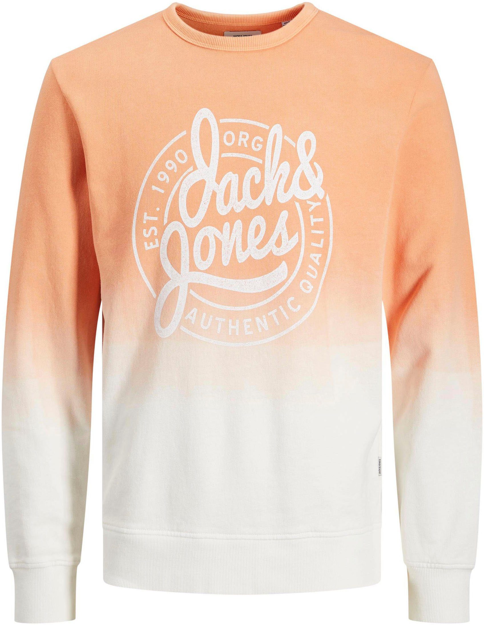 Kinder Teens (Gr. 128 - 182) Jack & Jones Junior Sweatshirt mit Farbverlauf