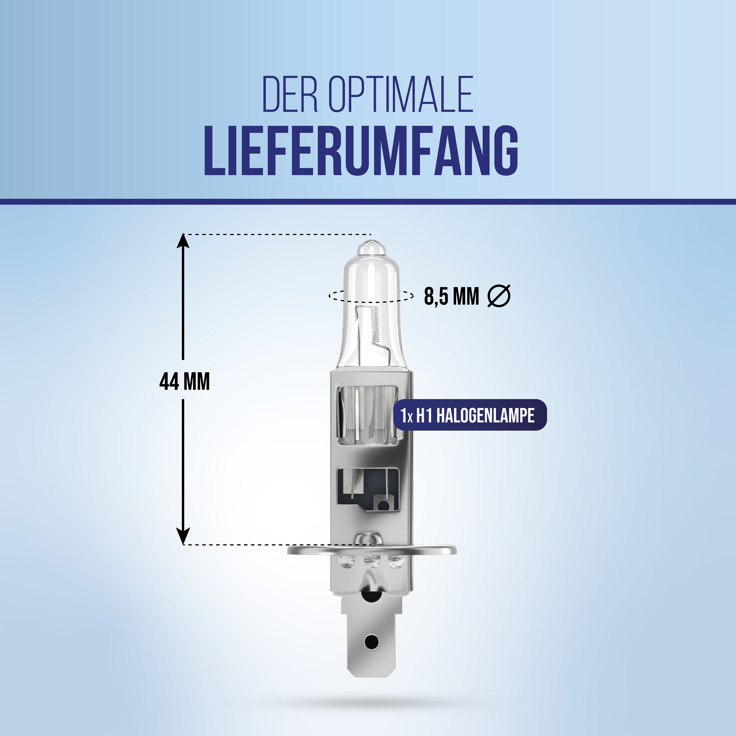 alca KFZ-Ersatzleuchte H1 Halogenlampe LKW 24V 70W P14.5s, für Scheinwerfer, Fernlicht, 1 St.
