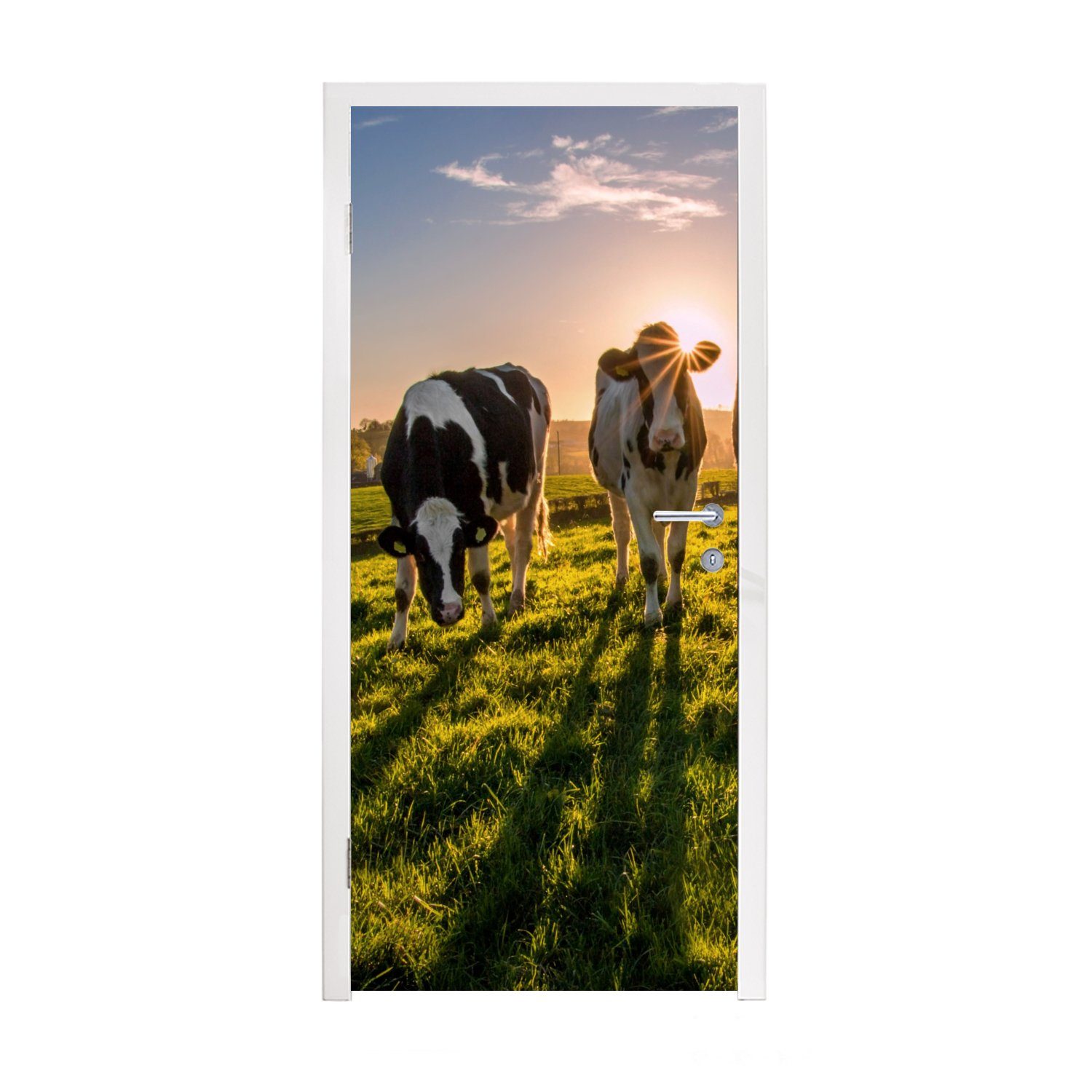 MuchoWow Türtapete Kühe - Sonne - Gras - Tiere - Bauernhof, Matt, bedruckt, (1 St), Fototapete für Tür, Türaufkleber, 75x205 cm