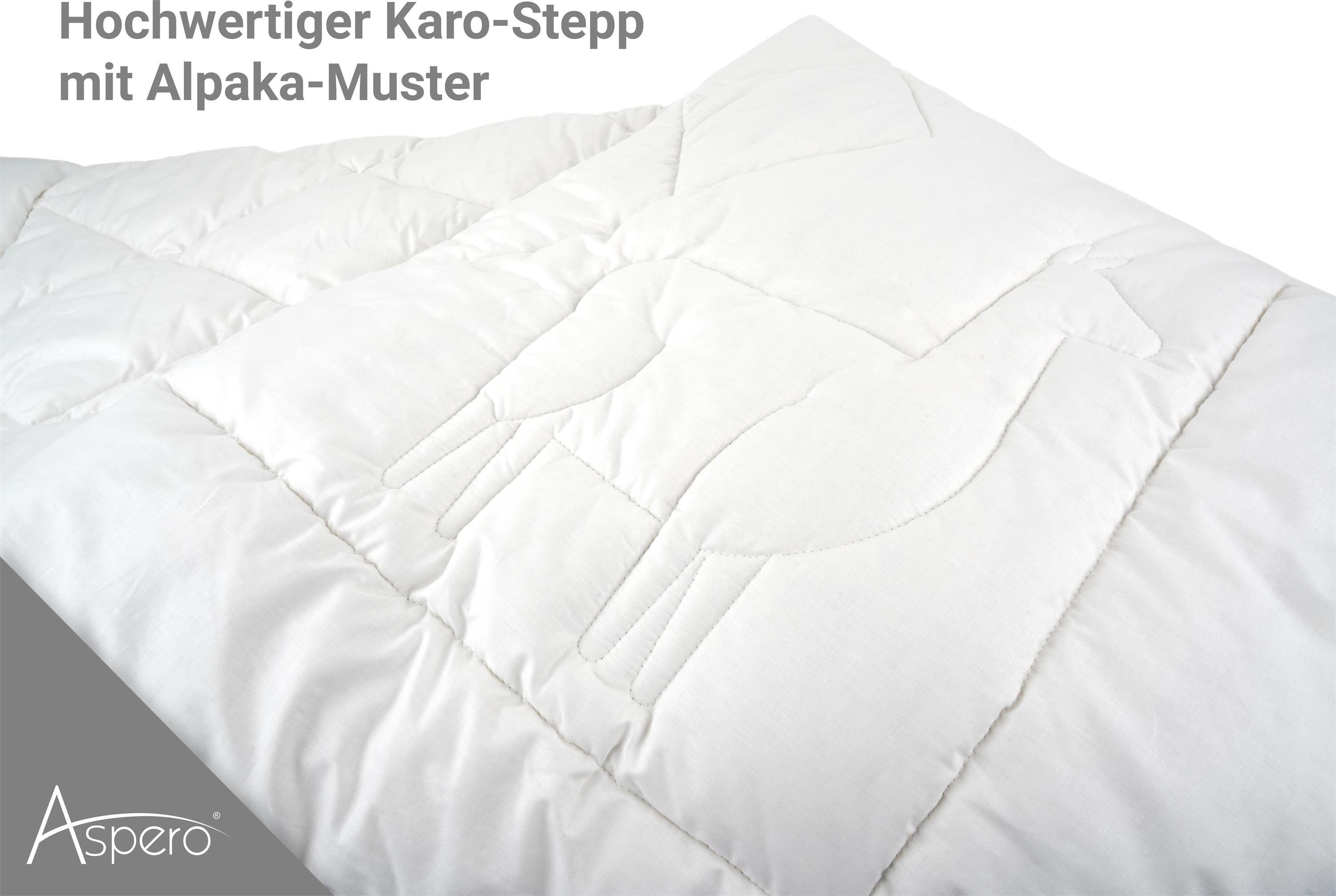 Aspero Naturhaarbettdecke Alpaka-Bettdecke CALAIS, Füllung: Alpaka/Hohlfase günstig online kaufen