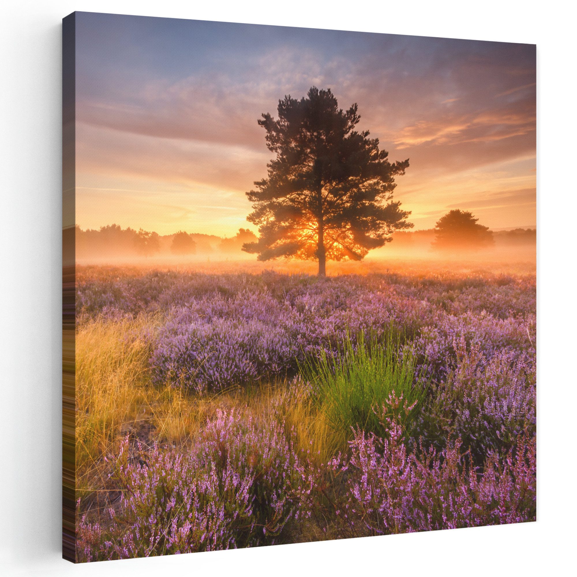 OneMillionCanvasses® Leinwandbild Heidelandschaft mit einem Baum, Fotodruck (1 St), Wandbild, Deko Schlafzimmer Wohnzimmer Flur 20x20 cm