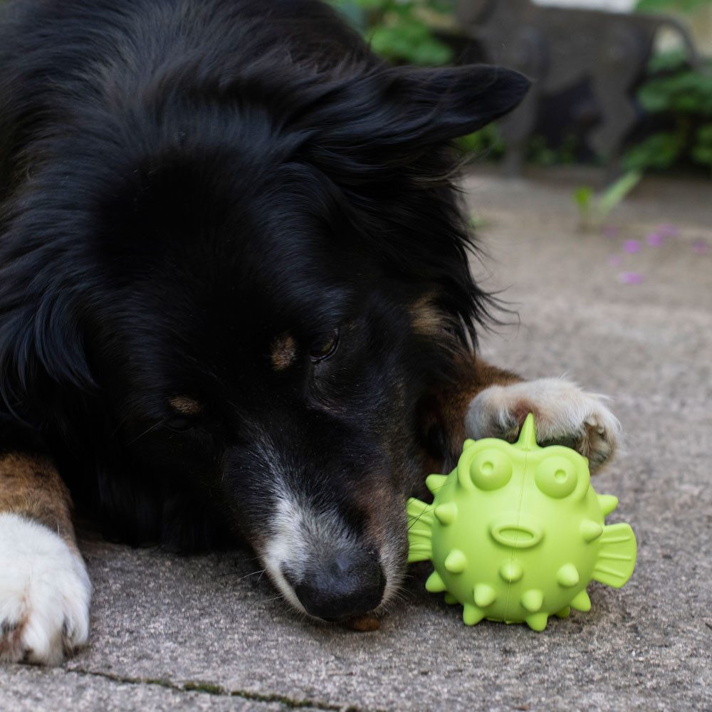 Tierball PROCYON TPR Snackball Fisch