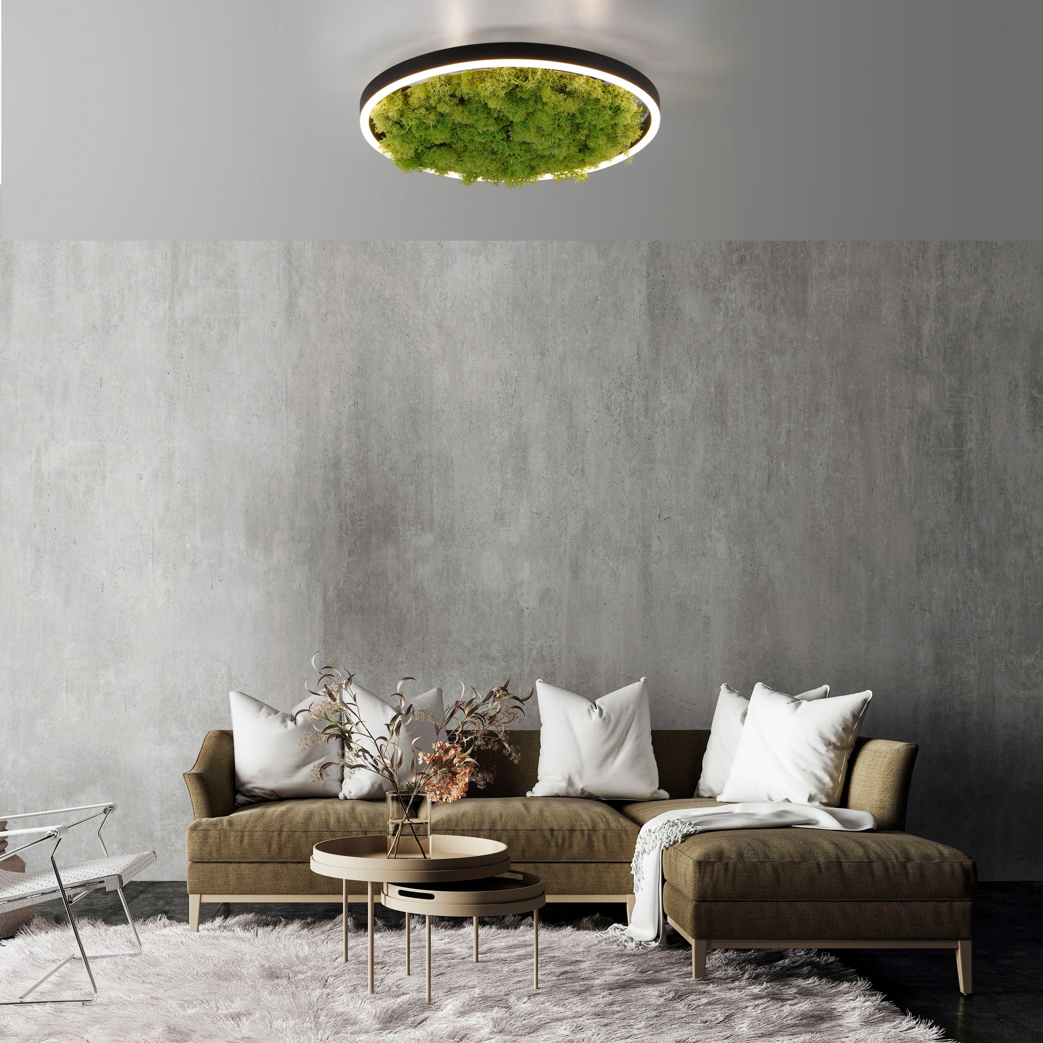JUST LIGHT Deckenleuchte GREEN RITU, LED günstig online kaufen