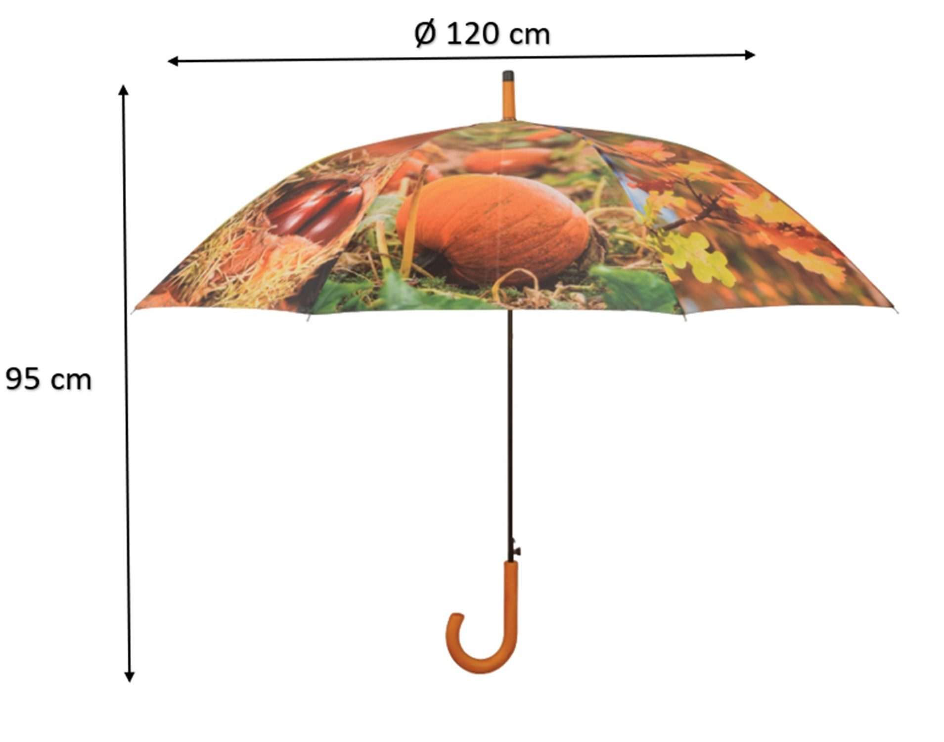 degawo Stockregenschirm Regenschirm mit HERBSTMOTIVE, automatischer günstig online kaufen
