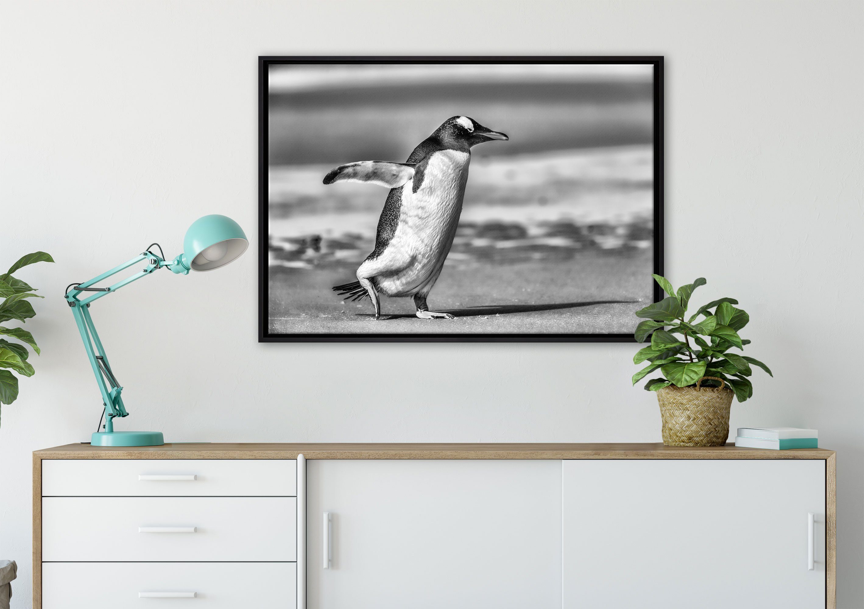 Schattenfugen-Bilderrahmen Leinwandbild gefasst, am Leinwandbild in fertig Strand, einem Zackenaufhänger Pinguin bespannt, St), Wanddekoration (1 Pixxprint inkl.