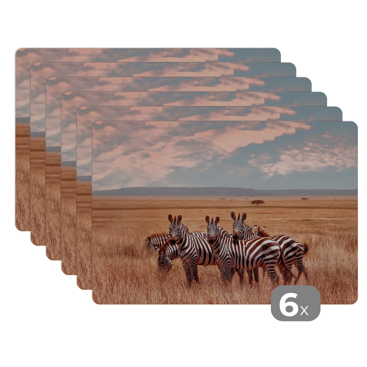 Zebras Schmutzabweisend MuchoWow, Lande, Platzmatte, auf Platzset, Platzdecken, Platzset, (6-St), dem Tischmatten,