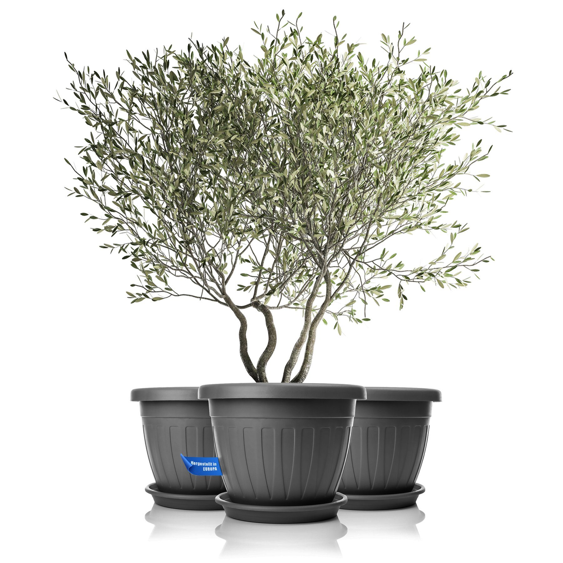 BigDean Blumentopf 3x Blumentopf mit Untersetzer rund ø50xH38 (Set, 3 St., günstig online kaufen