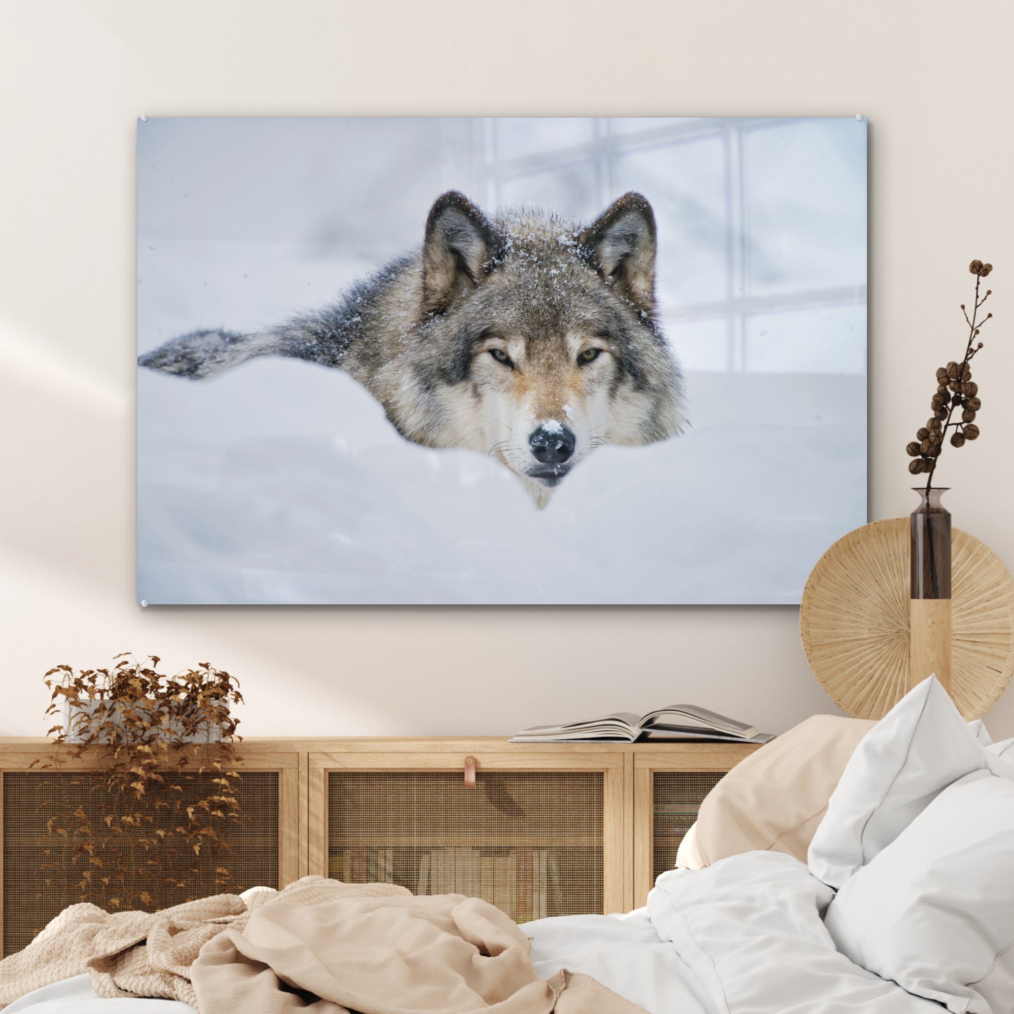MuchoWow Acrylglasbild Wolf - & Schnee Wohnzimmer (1 Acrylglasbilder Schlafzimmer St), Mantel, 