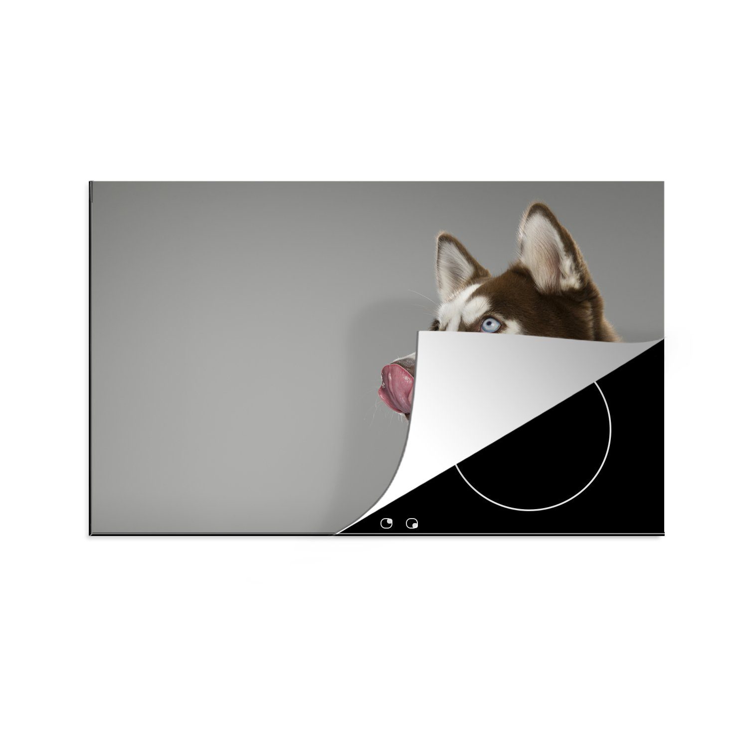 MuchoWow Herdblende-/Abdeckplatte Husky - Tier - Lecken, Vinyl, (1 tlg), 81x52 cm, Induktionskochfeld Schutz für die küche, Ceranfeldabdeckung | Herdabdeckplatten