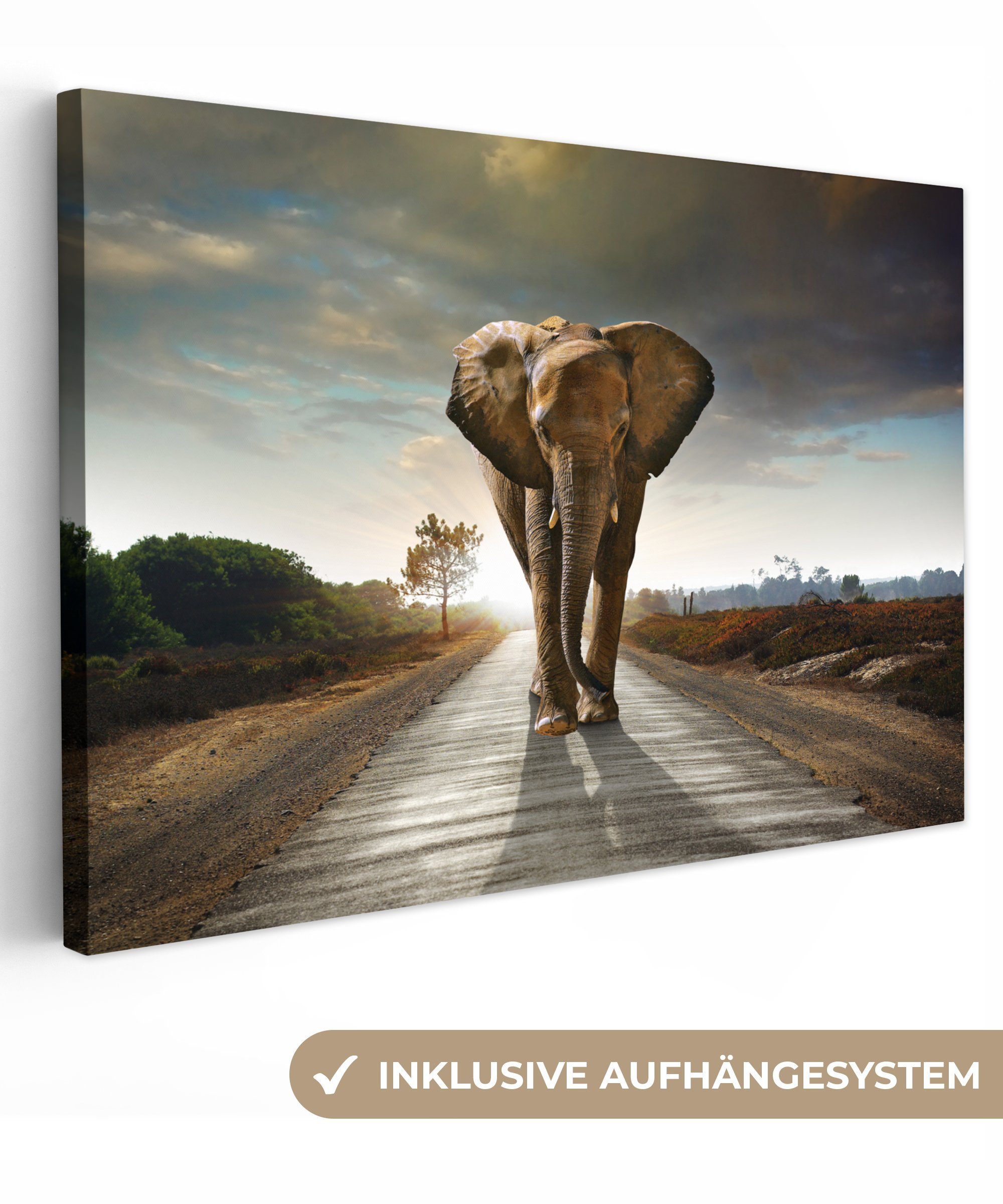 OneMillionCanvasses® Leinwandbild Elefant - Straße - Tiere - Sonnenuntergan günstig online kaufen