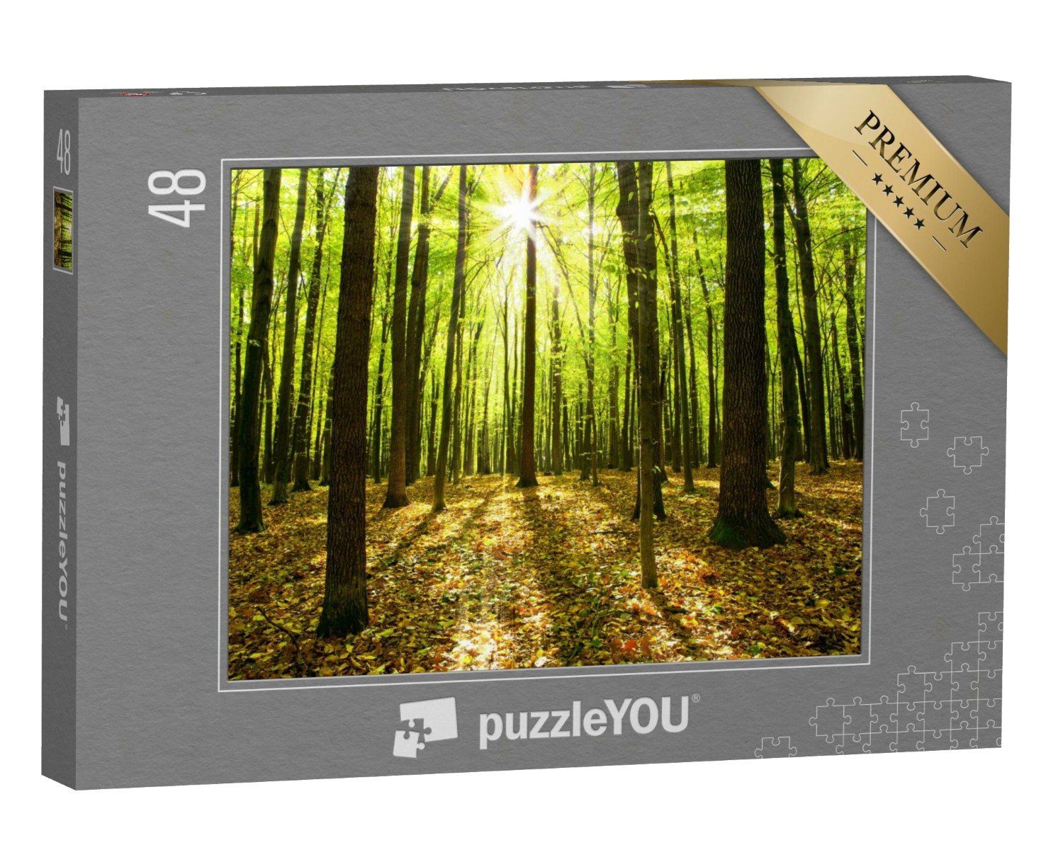 puzzleYOU Puzzle Herbstwald mit Bäumen und Sonnenlicht, 48 Puzzleteile, puzzleYOU-Kollektionen Bäume, Wald & Bäume