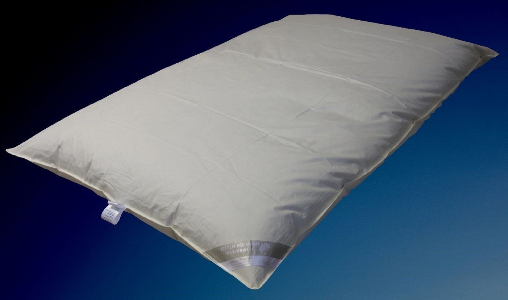 Betten Hofmann Daunenbettdecke Hofmann Franken Oberbett Daunenbett Ballonbe günstig online kaufen