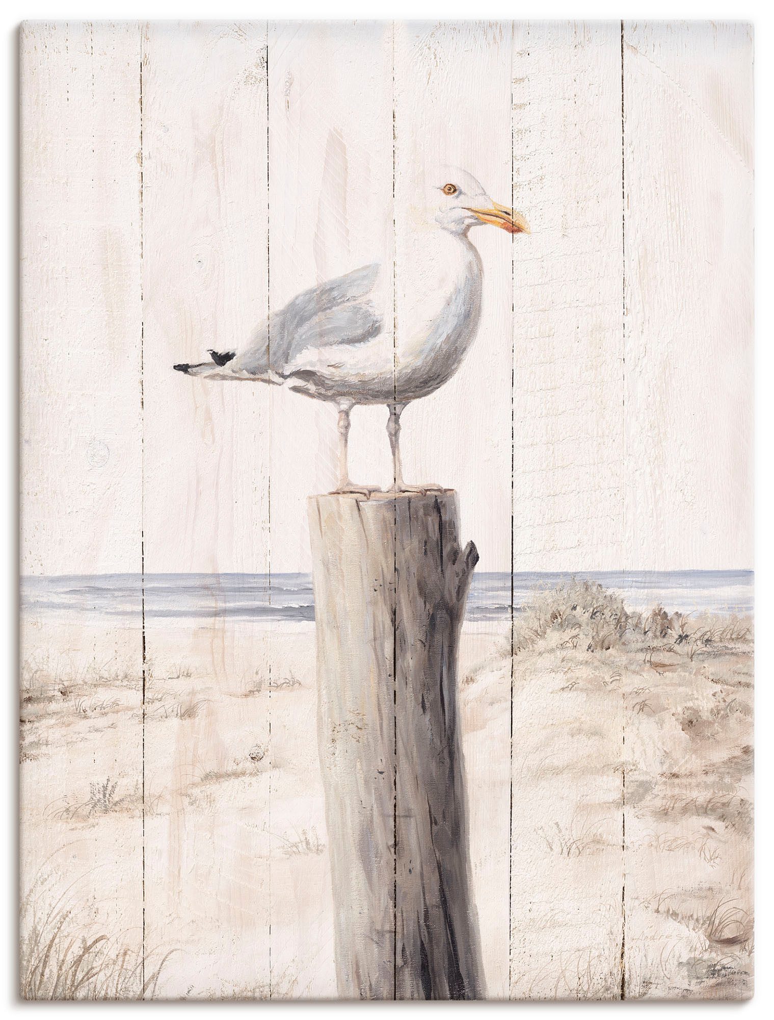OTTO home Wandbild Möwe mit Holzoptik, Vogelbilder (1 St)