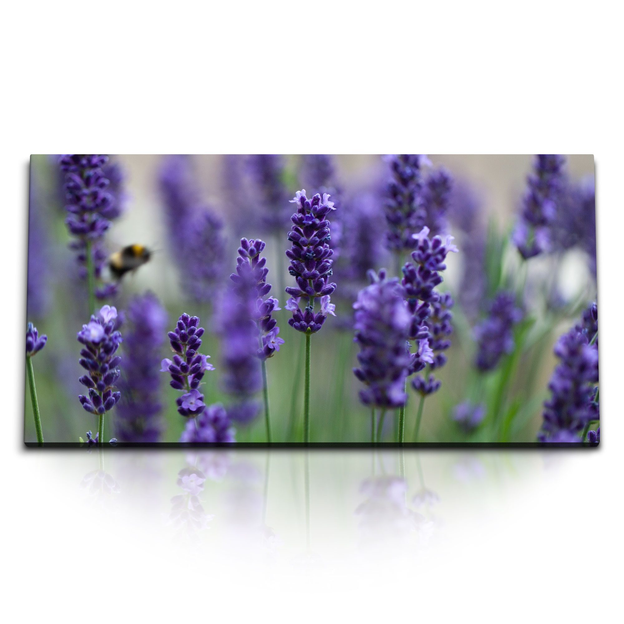 Leinwandbild Kunstdruck Bilder 120x60cm Lavendel Lila Sommer Wildblumen Natur