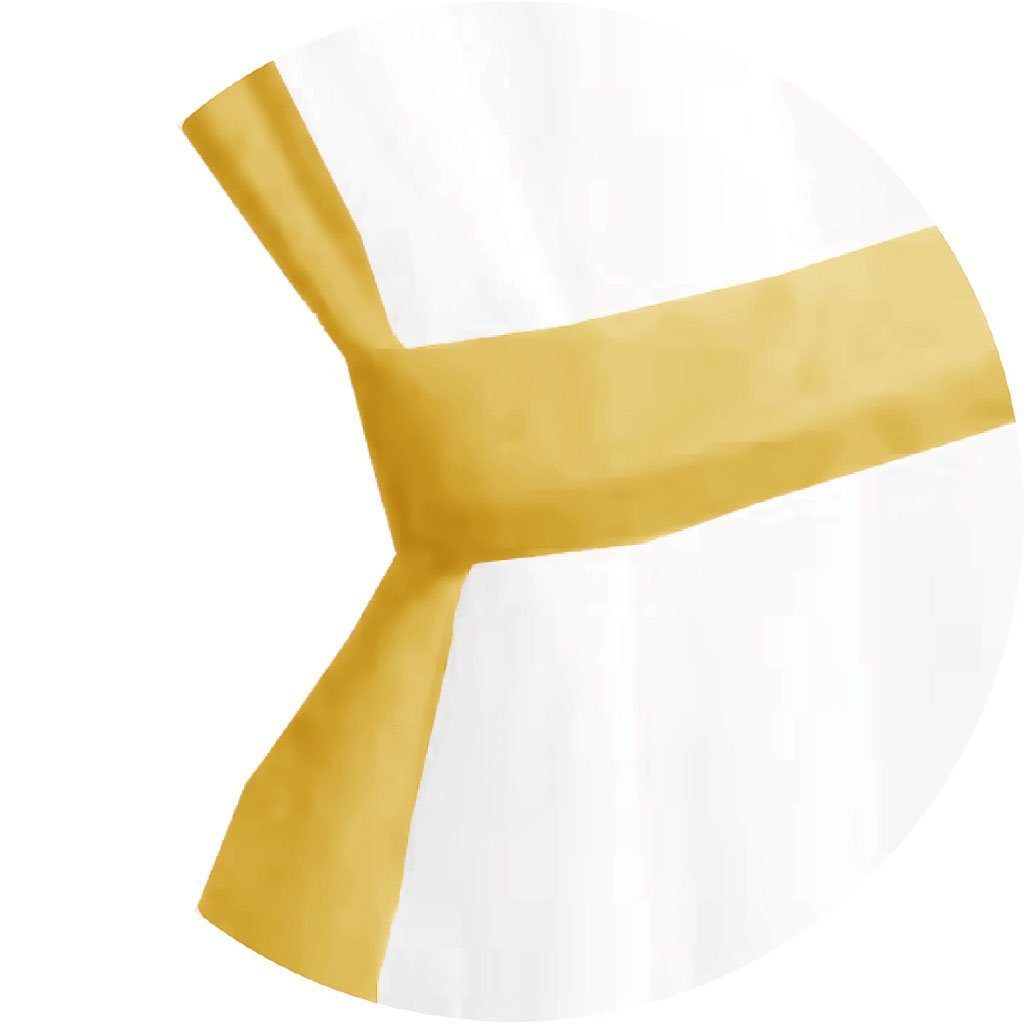 Arsvita Vorhang, Stangendurchzug, transparent, Gardinenset (2 Schlaufenschals, 2 Raffhalter) 140cm x 120cm, Voile