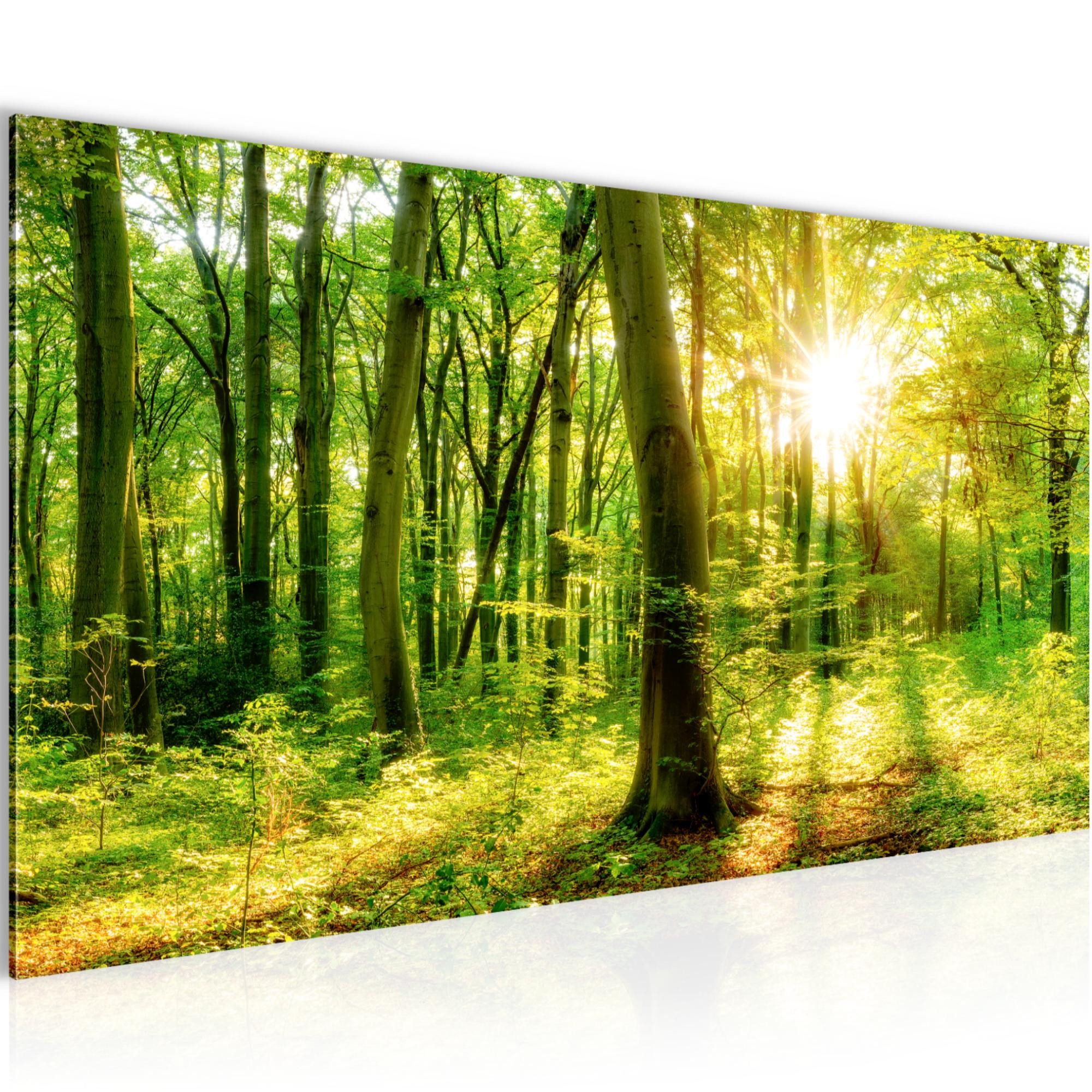 Runa Art Wandbild Wald Natur Modern Bild auf Vlies Leinwand Landschaft Grün 0466, 100L x 40B cm