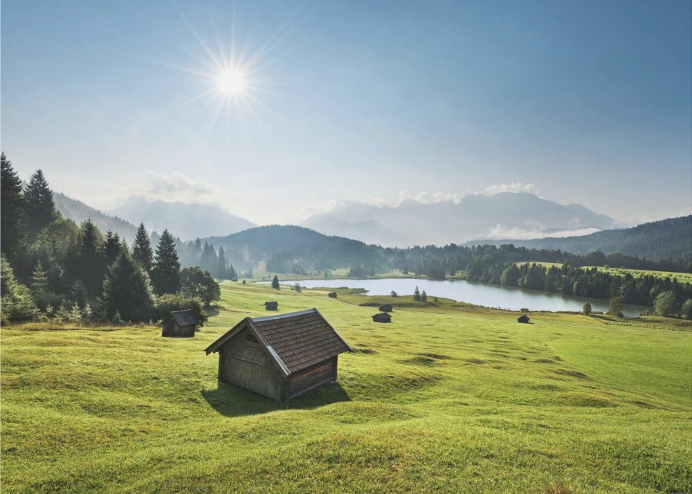 Vliestapete "Summer Meadow" von Stefan Hefele