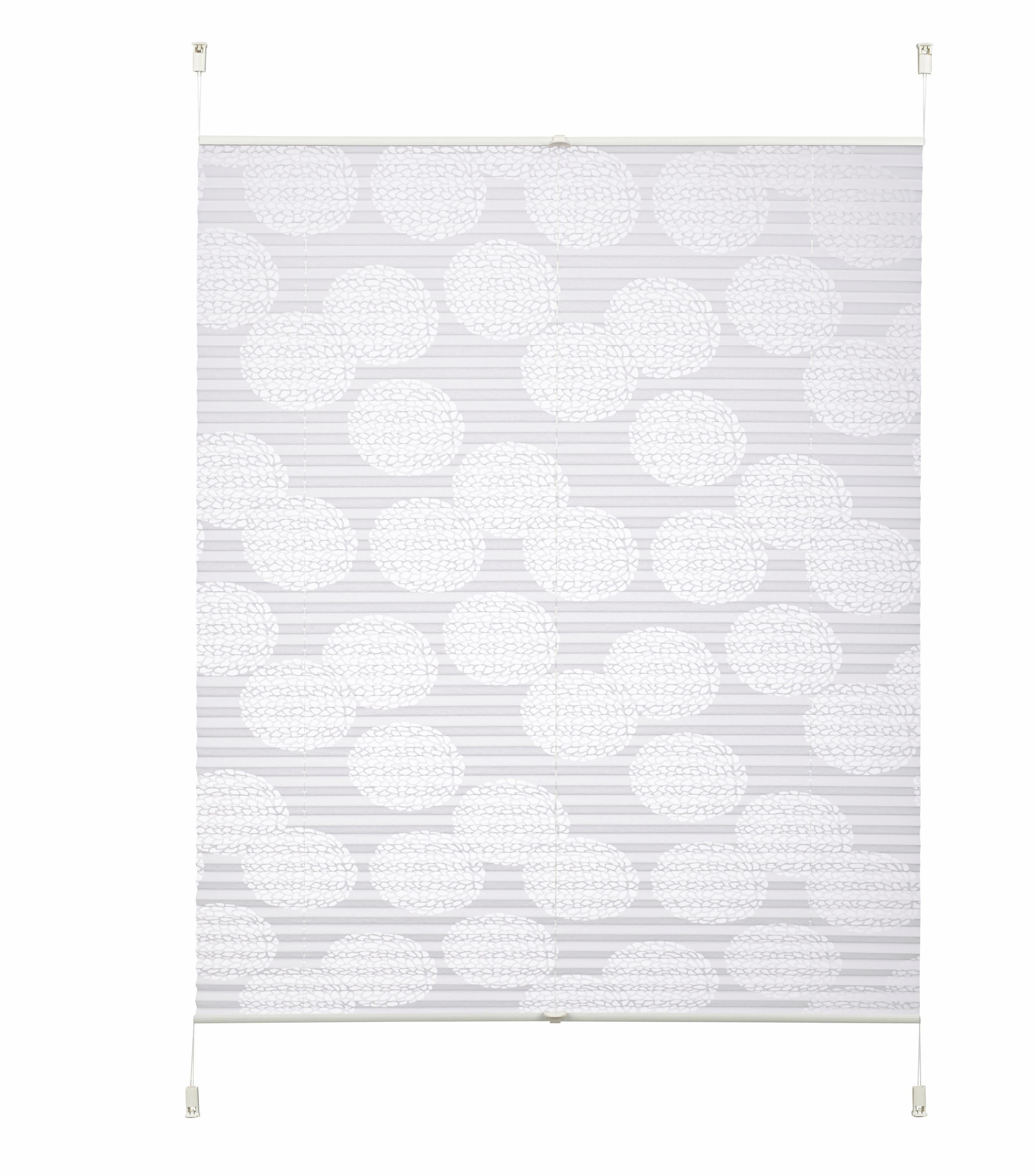 my home Plissee »BELUM«, Lichtschutz, ohne Bohren, verspannt, im Fixmaß, Au günstig online kaufen