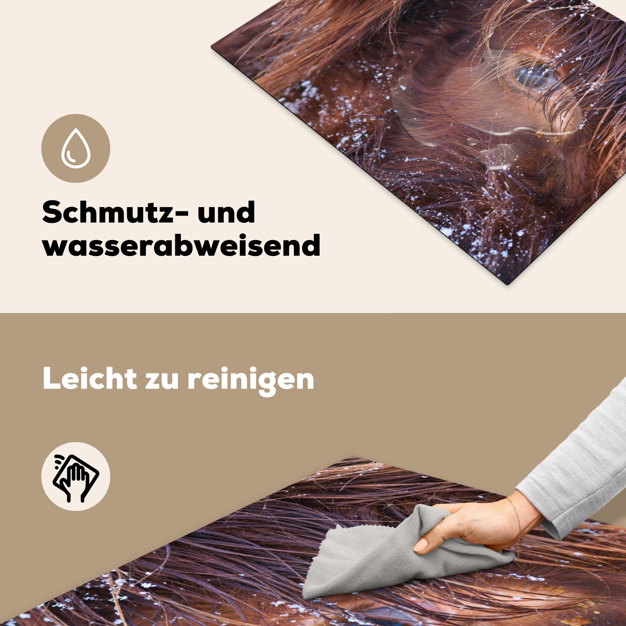 tlg), - für Schottische Herdblende-/Abdeckplatte Induktionskochfeld Vinyl, Schottischer - MuchoWow 71x52 küche, cm, Schnee, Highlander Ceranfeldabdeckung Kuh (1 Schutz die