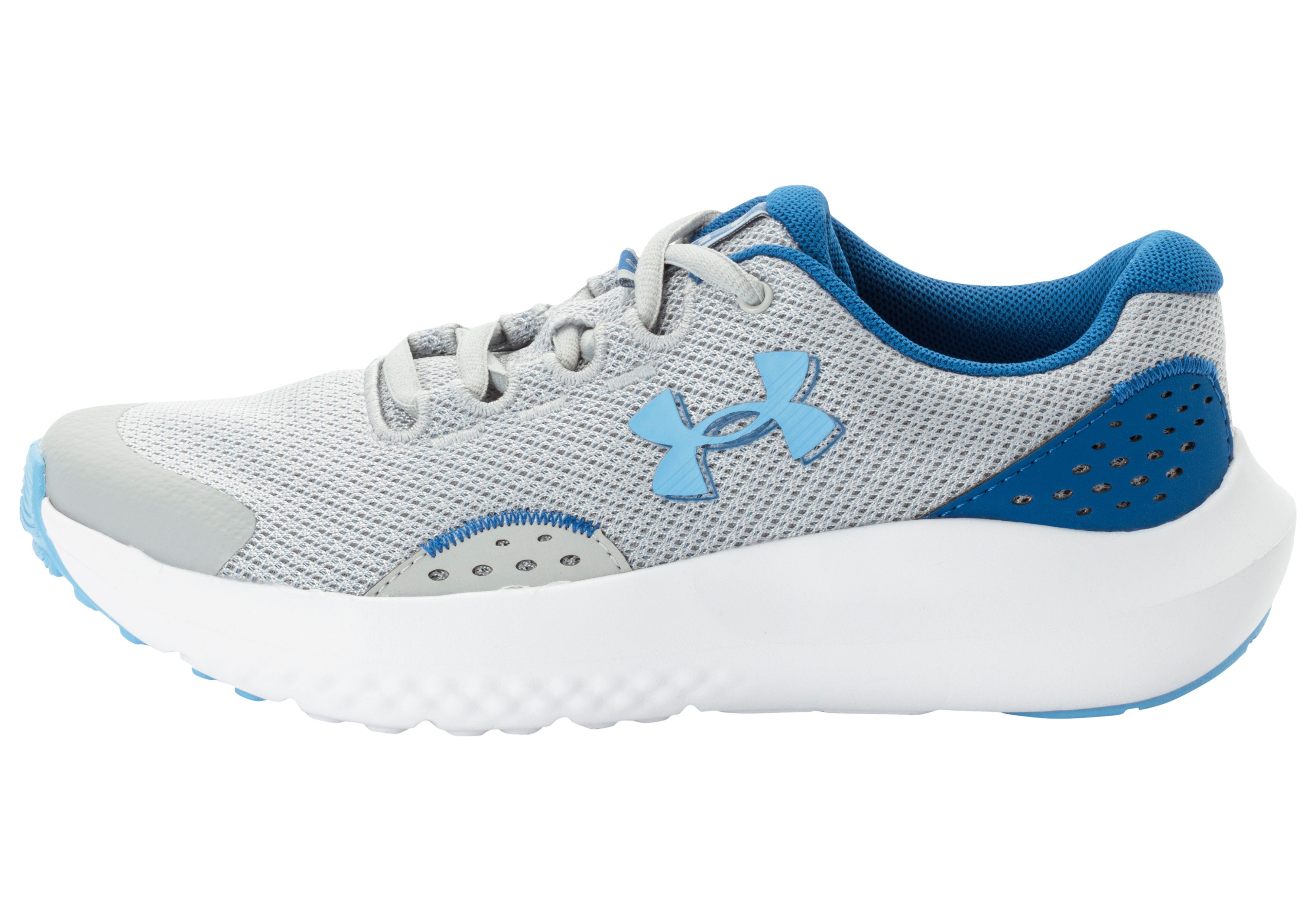 Under Armour® UA BGS Surge 4 günstig online kaufen