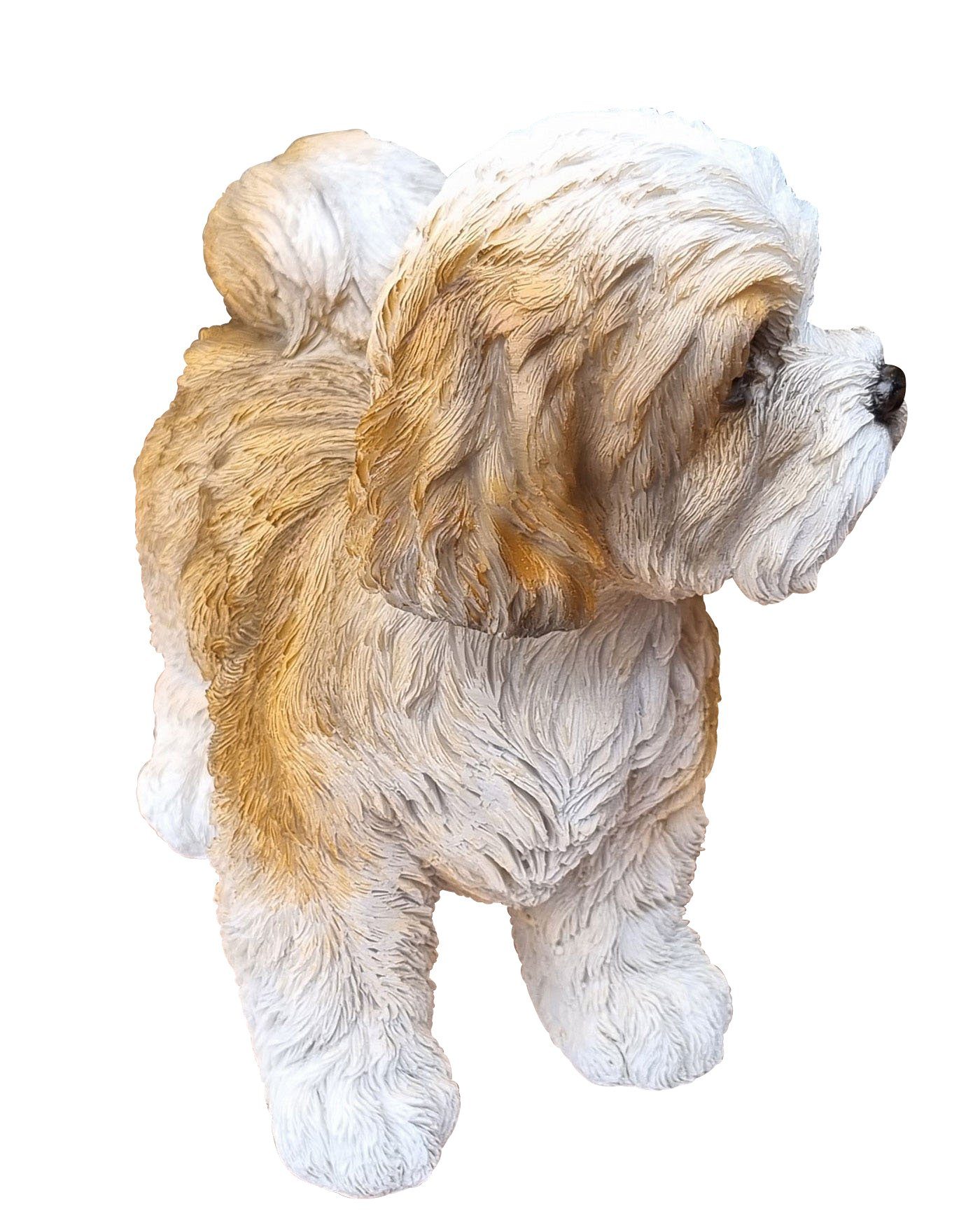 Fachhandel Shih St), lebensechte Tsu Gartenfigur detailgetreue (1 Toffie, Hund Hunde-Figur und Plus