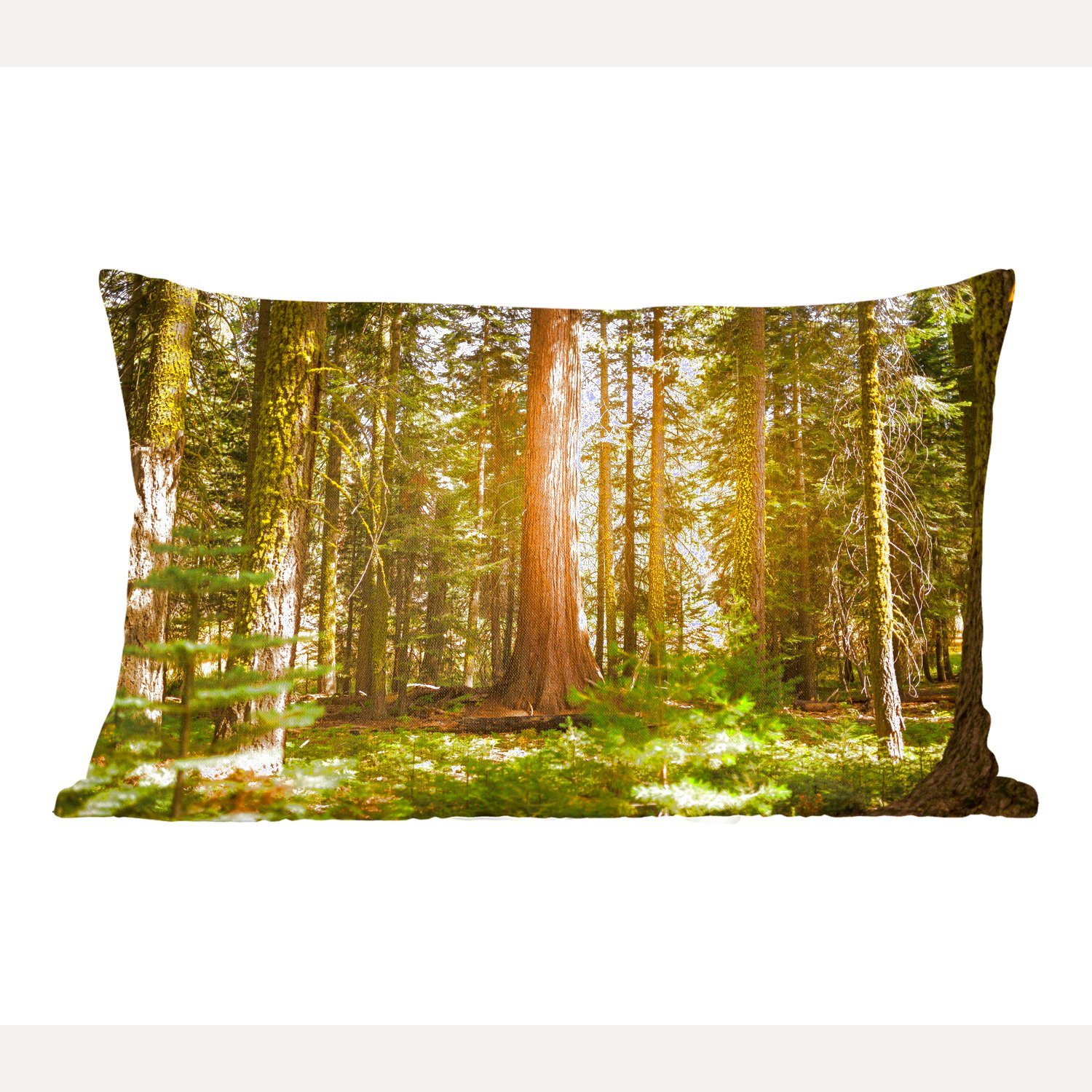 MuchoWow Dekokissen Schlafzimmer Dekokissen National entlang Sequoia Dekoration, in den, Wohzimmer der Park Zierkissen, Bäume Füllung, im Sonnenstrahlen mit