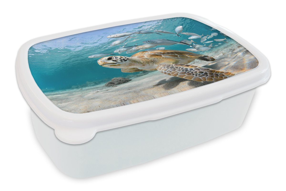 MuchoWow Lunchbox Schildkröte - Fisch - Meer, Kunststoff, (2-tlg), Brotbox für Kinder und Erwachsene, Brotdose, für Jungs und Mädchen weiß