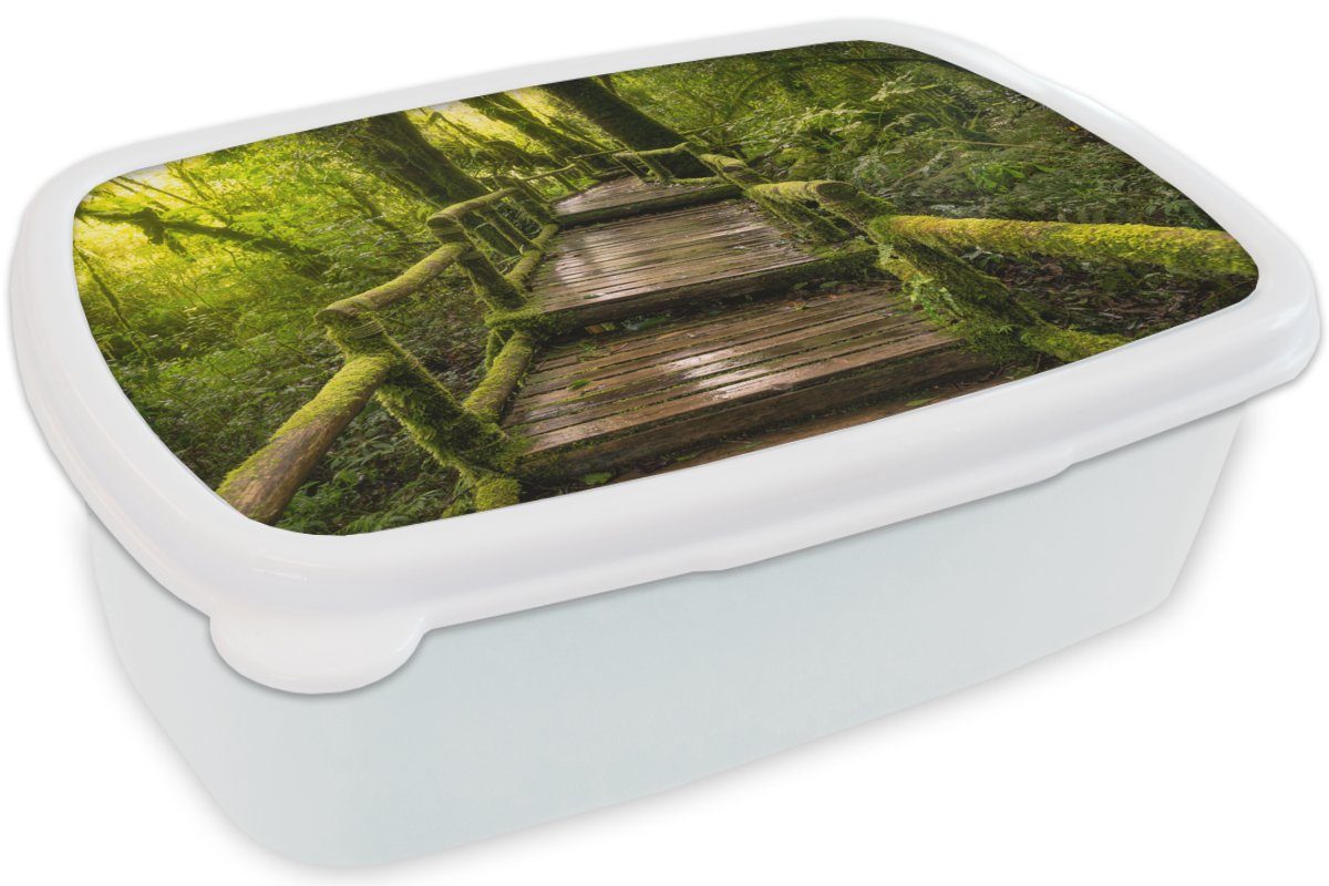 Jungs Lunchbox und Kunststoff, Schöner Brotbox Brotdose, Mädchen Kinder Dschungel, MuchoWow für Erwachsene, (2-tlg), weiß Regenwald für und und