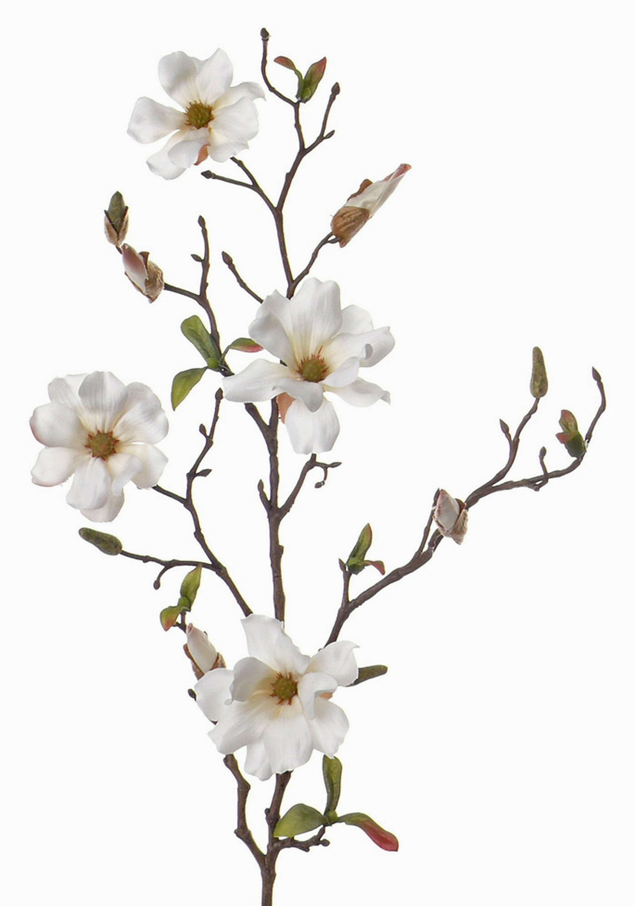 Kunstzweig Deko Magnolienzweig, 4 Blüten und Knospen, weiß, 80cm Magnolie, artplants, Höhe 80.0 cm